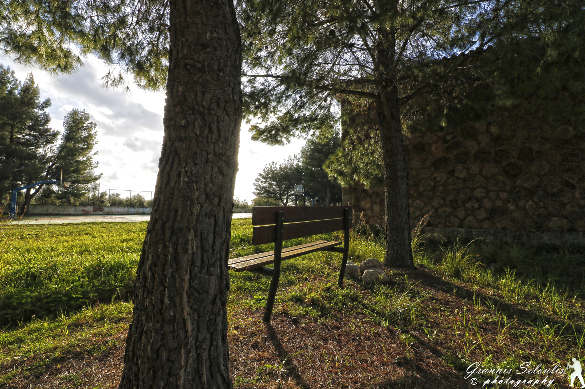 Canon EOS 760D (EOS Rebel T6s / EOS 8000D) + Canon EF-S 10-18mm F4.5–5.6 IS STM sample photo. Η ανοιξιάτικη μαγεία στο σχολείο Αρμενιών Τριφυλία Μεσσηνίας photography