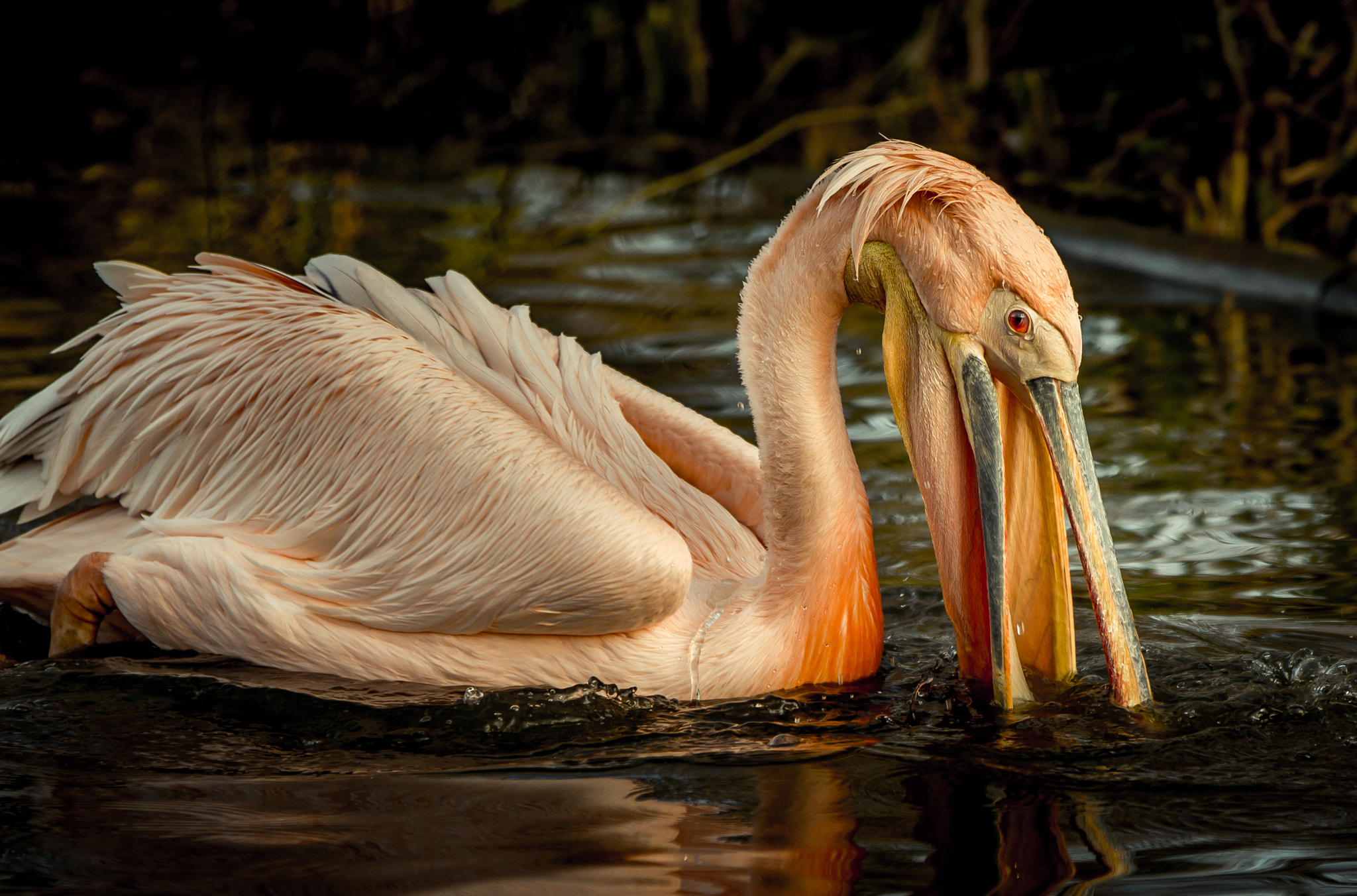 Canon EF 70-200mm F2.8L IS II USM sample photo. Portrait photography