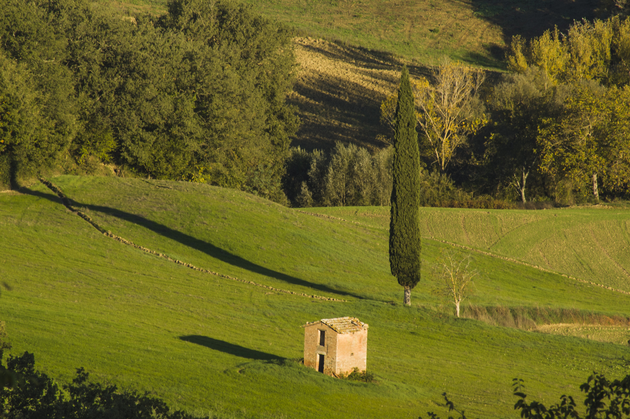 Nikon D70 + Tamron SP 70-300mm F4-5.6 Di VC USD sample photo. Tuscan landscape photography