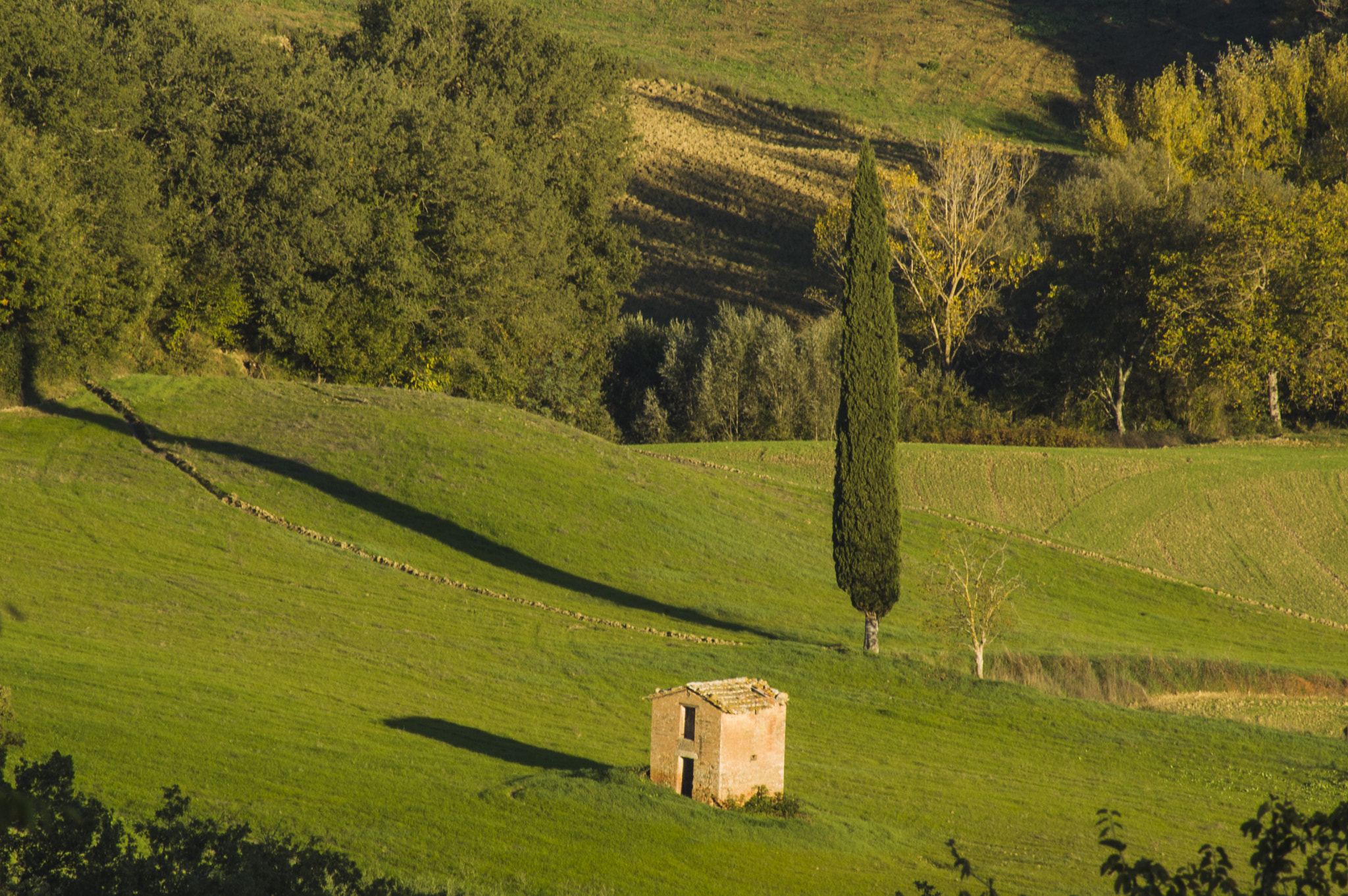 Nikon D70 sample photo. Tuscan landscape photography