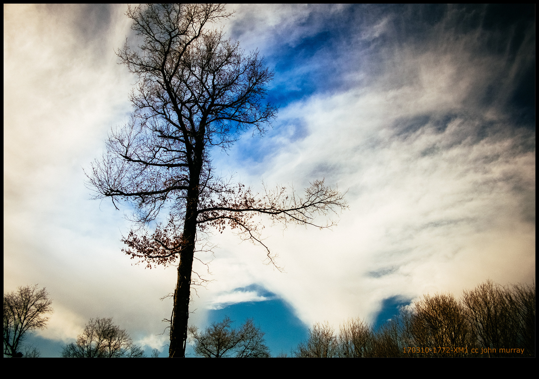 Fujifilm X-M1 + Fujifilm XF 18mm F2 R sample photo. 170310-1772-xm1.raf photography