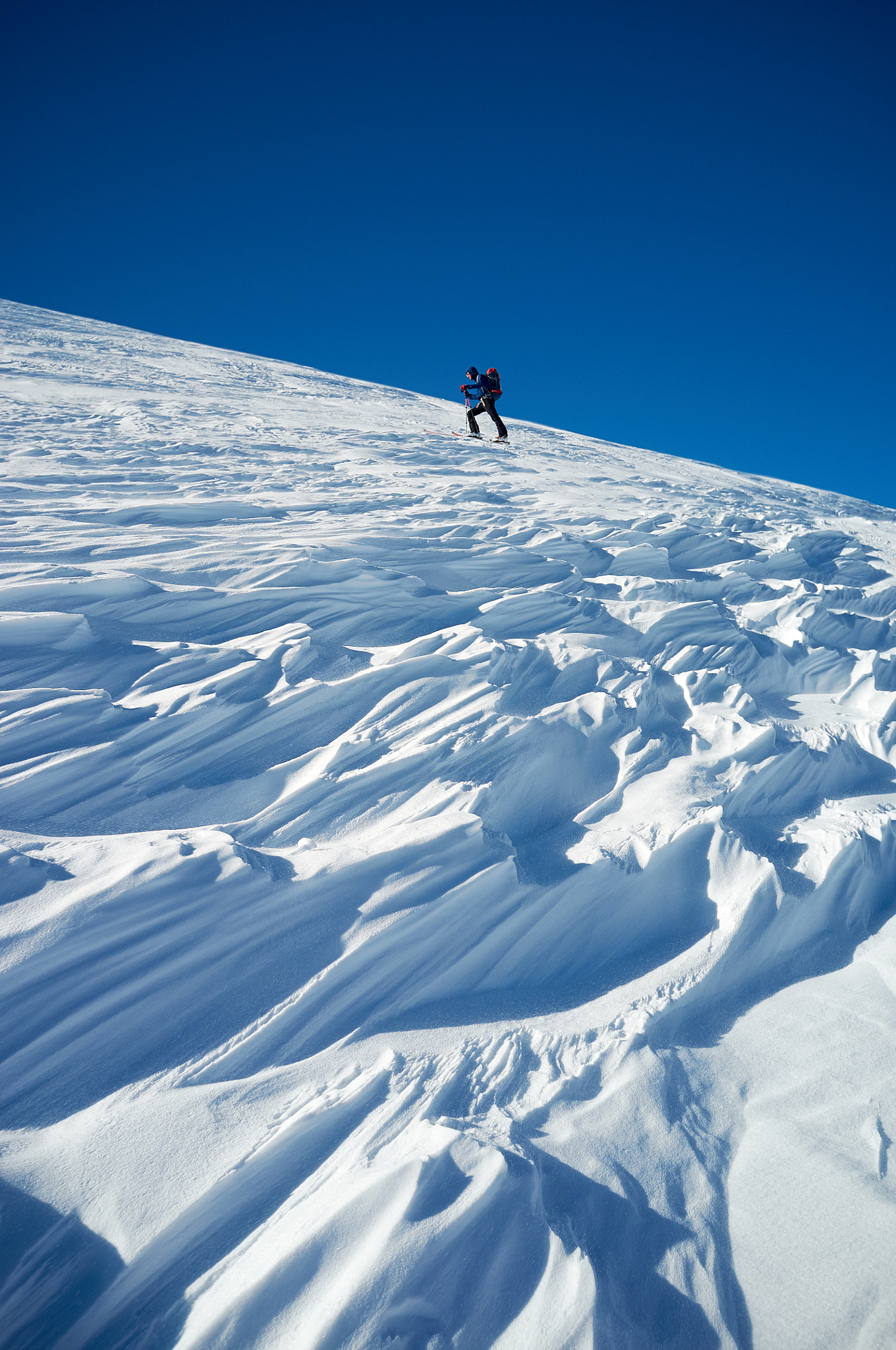 Fujifilm FinePix X100 sample photo. Wind and snow photography