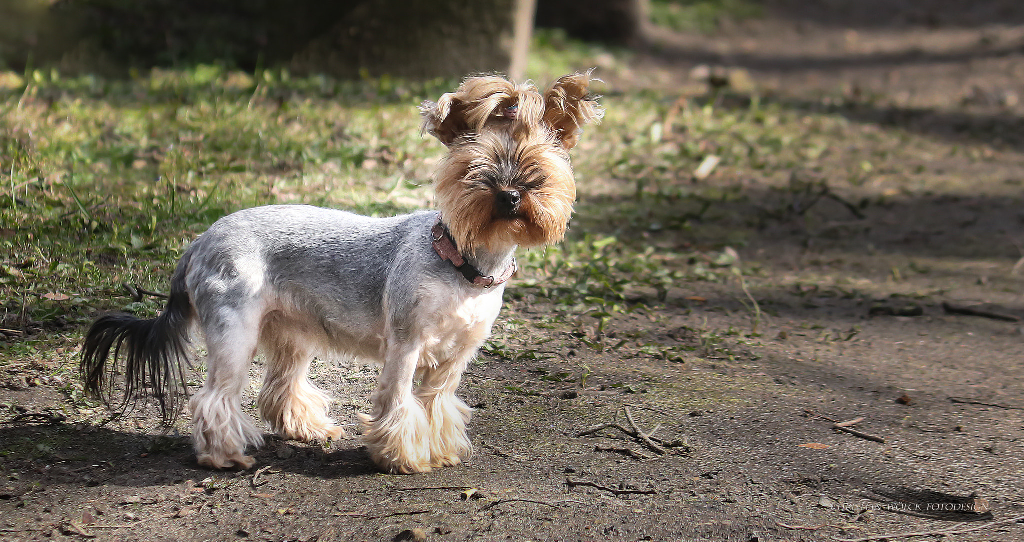 Canon EF-S 55-250mm F4-5.6 IS II sample photo. ... photography