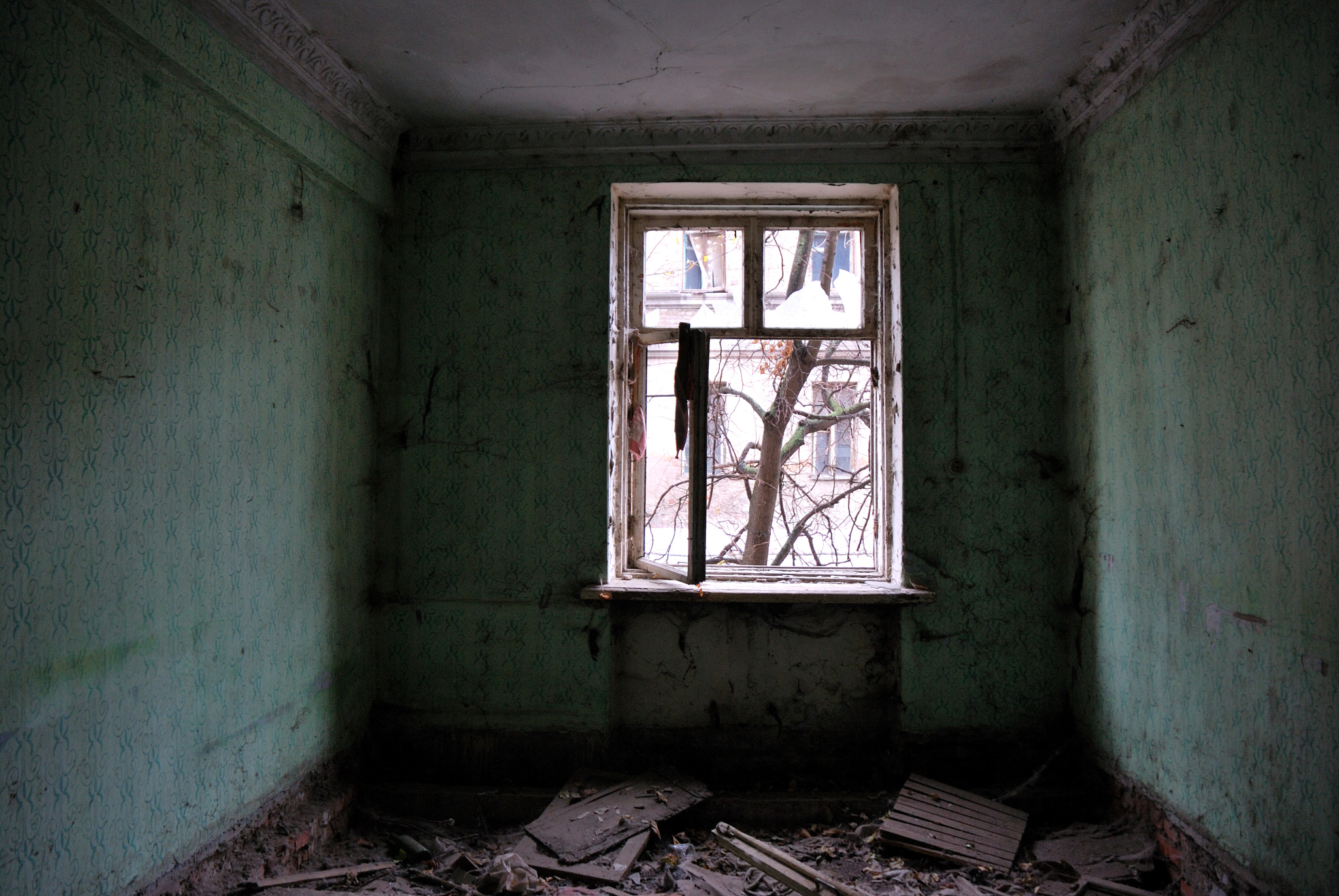 Nikon D60 sample photo. Disheartening photography