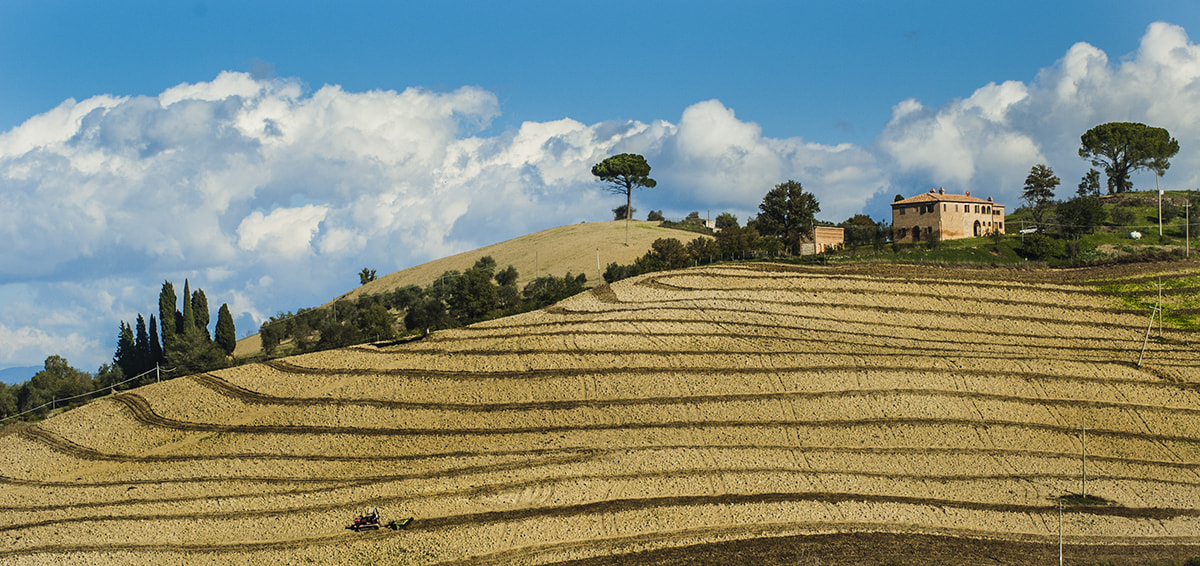 Nikon D70 sample photo. Crete senesi photography