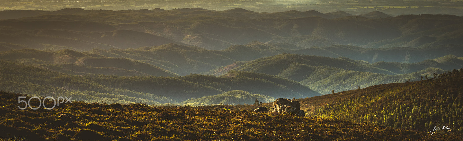 Nikon D5500 sample photo. Vastness photography