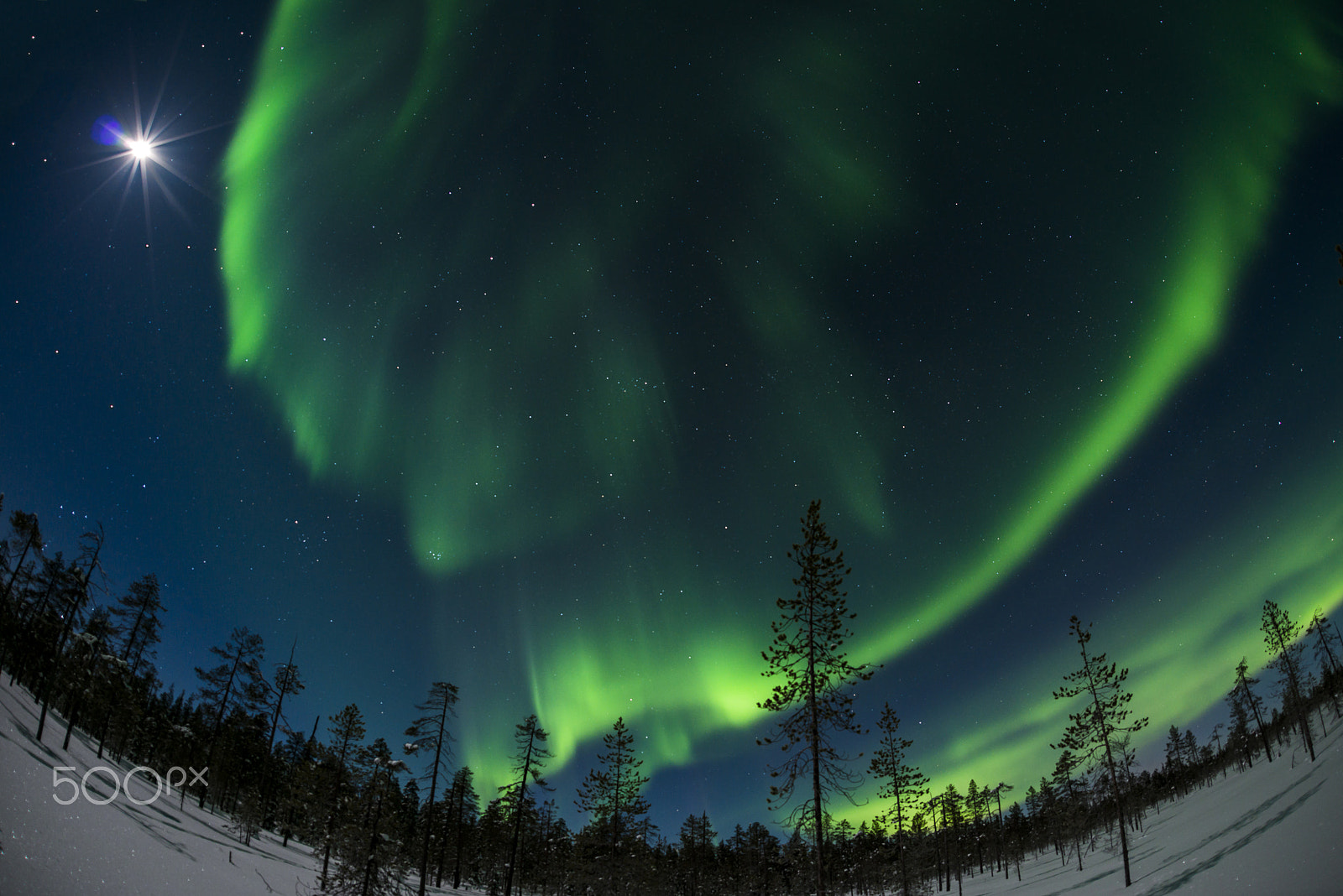 Nikon D800E + Sigma 15mm F2.8 EX DG Diagonal Fisheye sample photo. Moonlit aurora photography