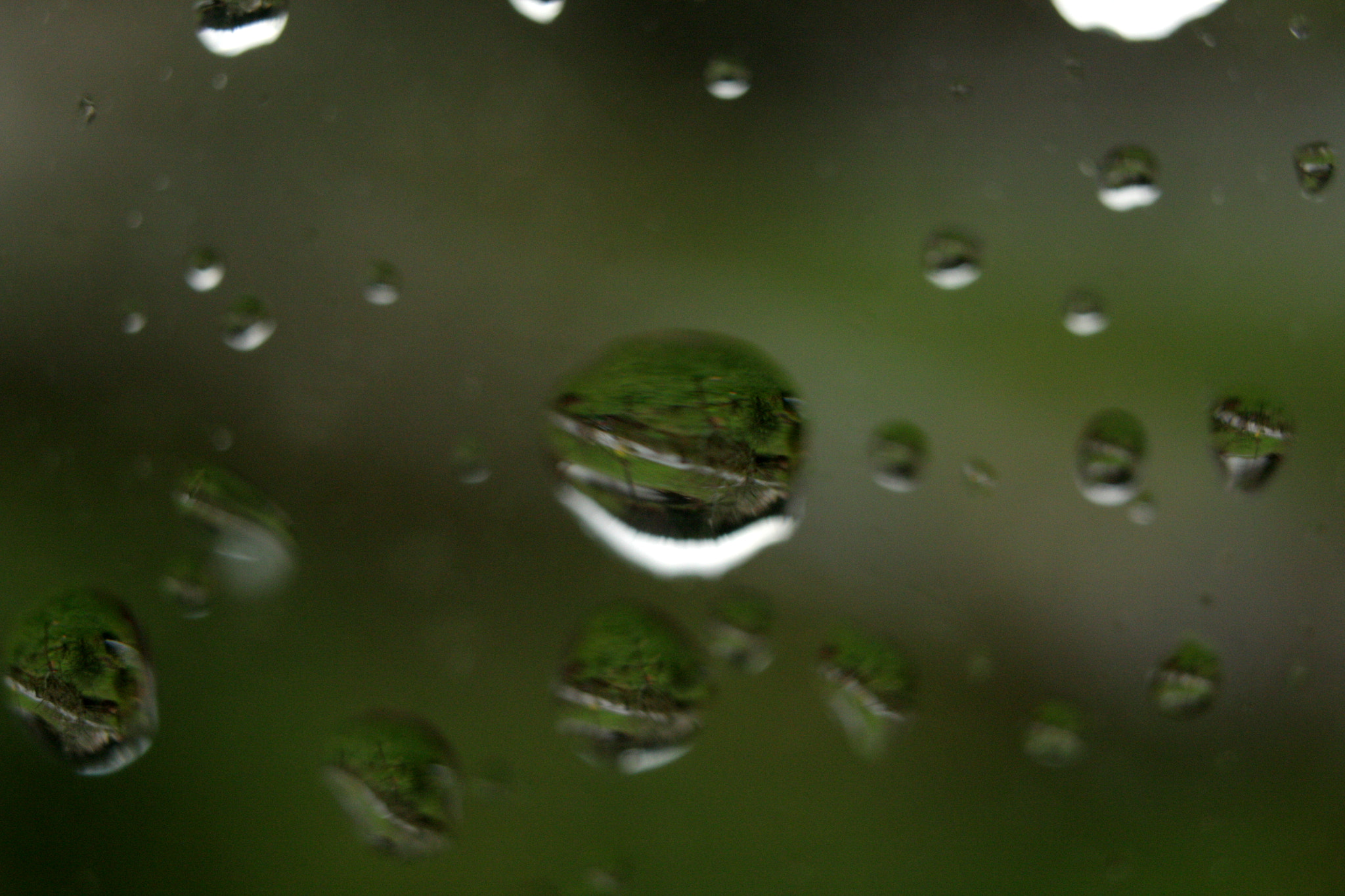 Canon EOS 450D (EOS Rebel XSi / EOS Kiss X2) sample photo. P52-s11 : goutte que goutte... photography