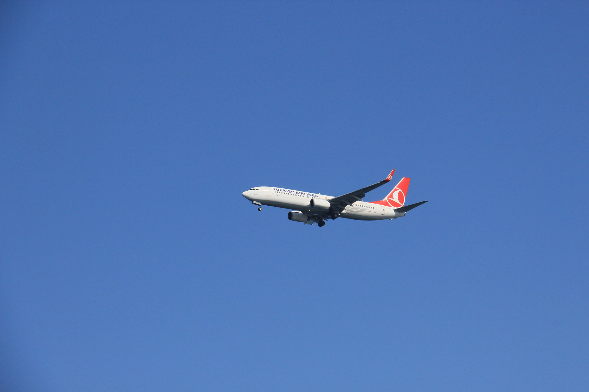 Canon EOS 600D (Rebel EOS T3i / EOS Kiss X5) sample photo. Turkish airlines photography