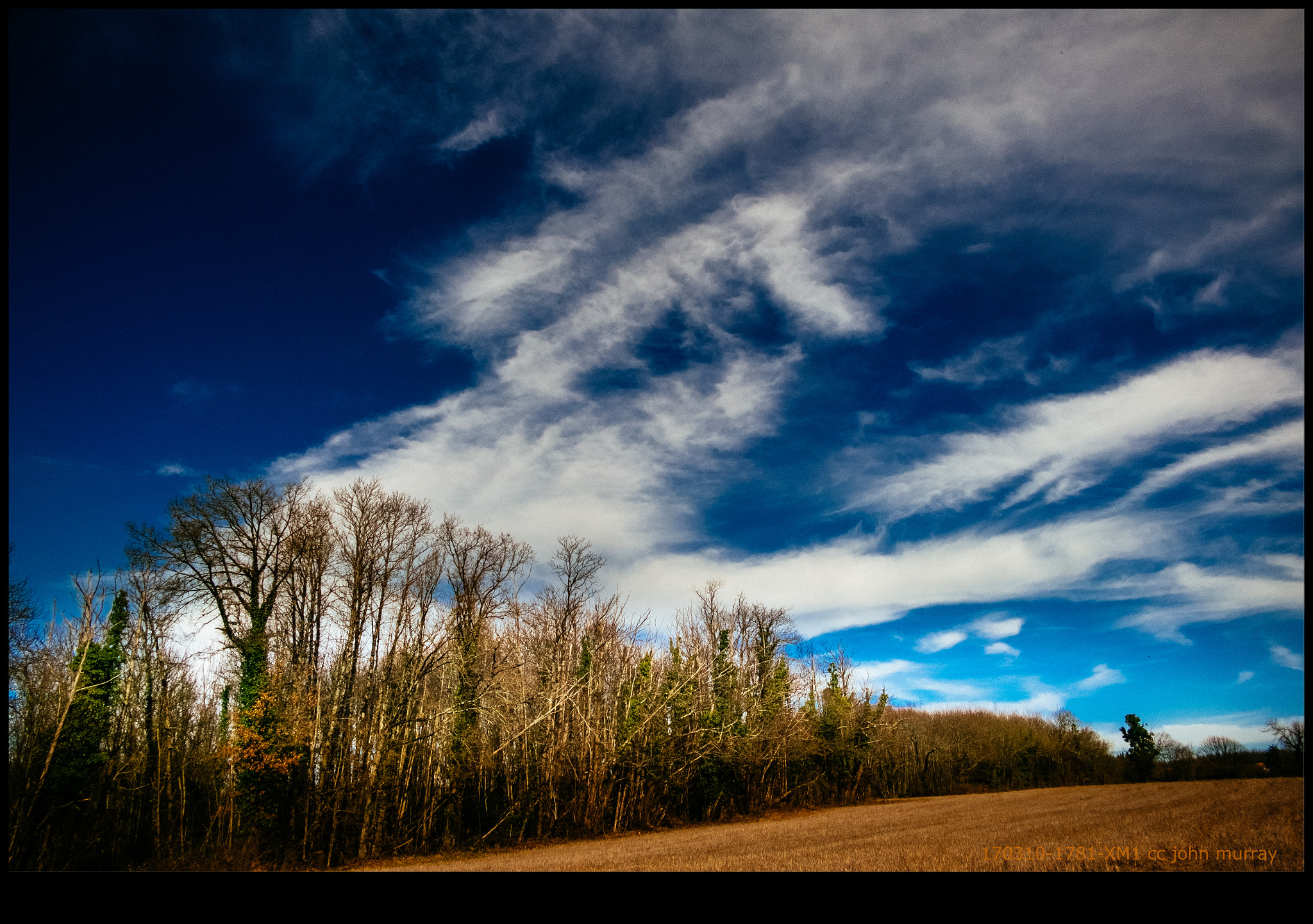 Fujifilm X-M1 sample photo. 170310-1781-xm1.raf photography