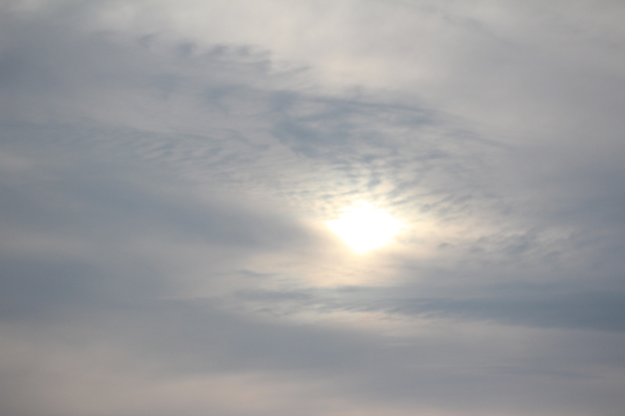 Canon EF 75-300mm f/4-5.6 USM sample photo. Img photography