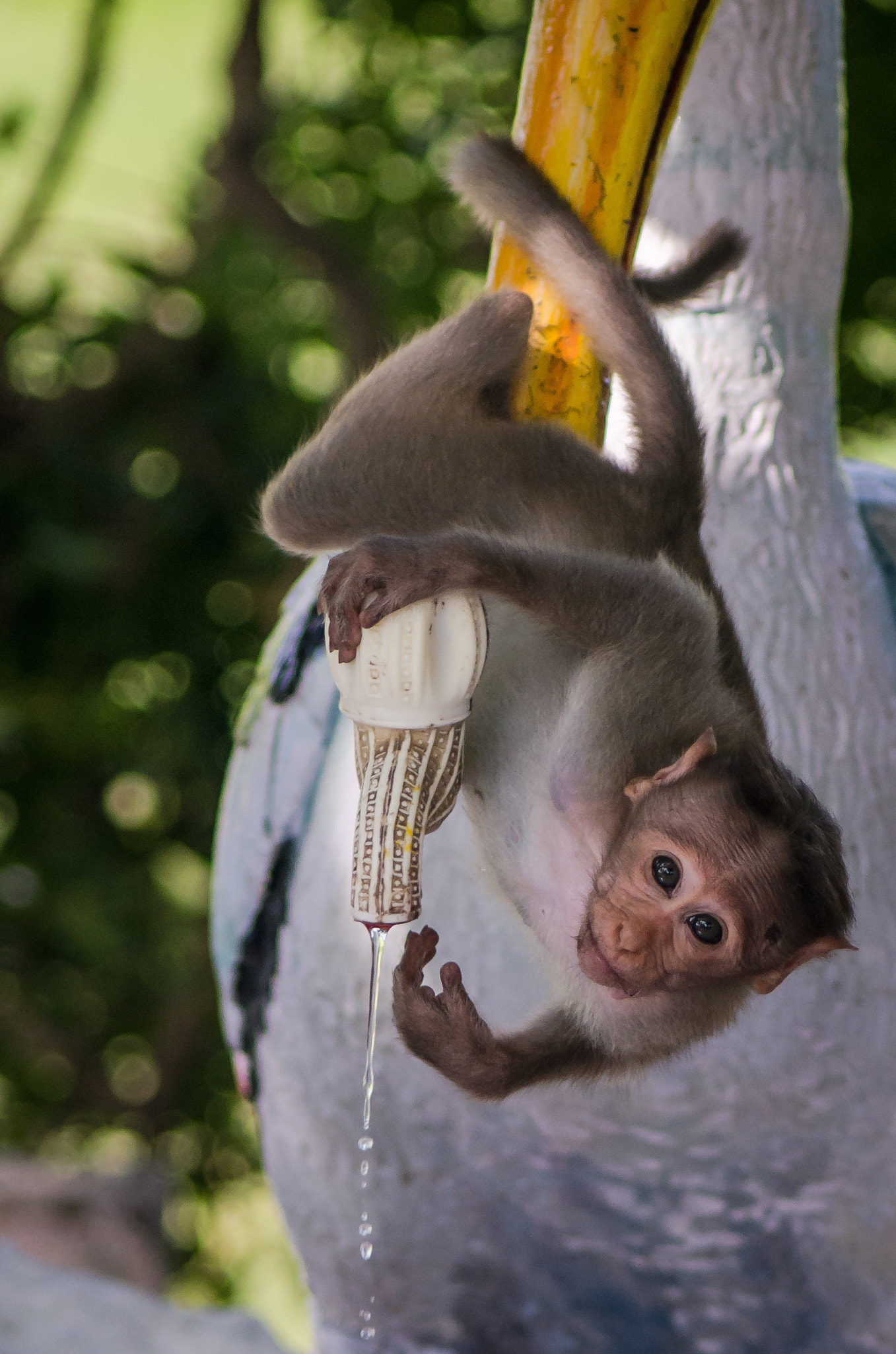 Nikon D7000 + AF Zoom-Nikkor 75-300mm f/4.5-5.6 sample photo. Beat the heat photography