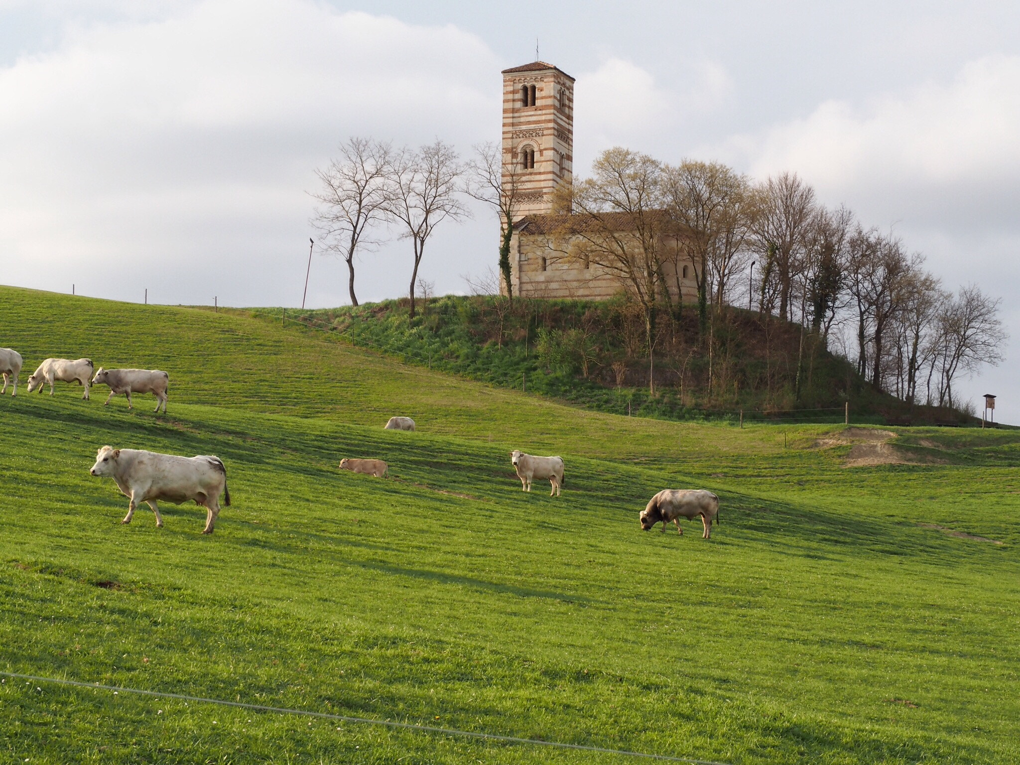 Olympus OM-D E-M10 sample photo. Romanico photography