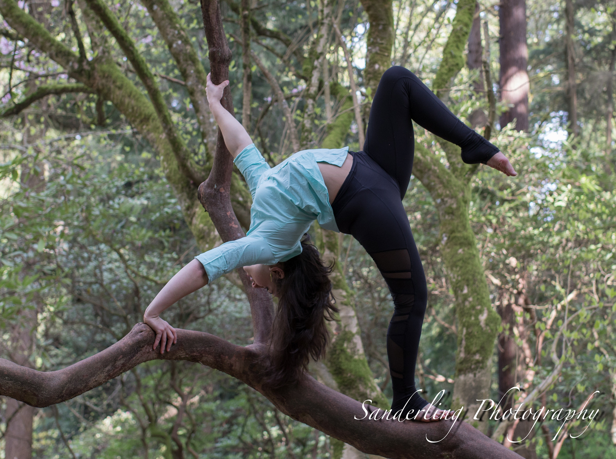 Sigma 35mm F1.4 DG HSM Art sample photo. Avery photography