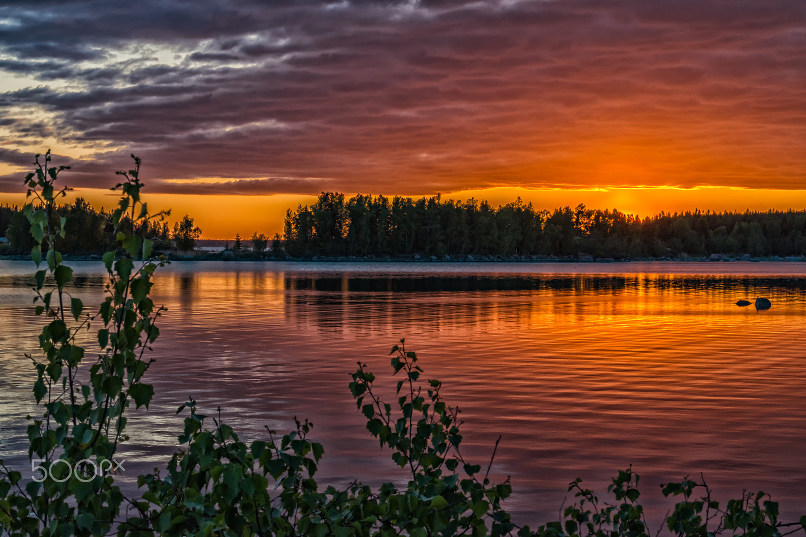 Nikon D5500 sample photo. Sunset colors photography