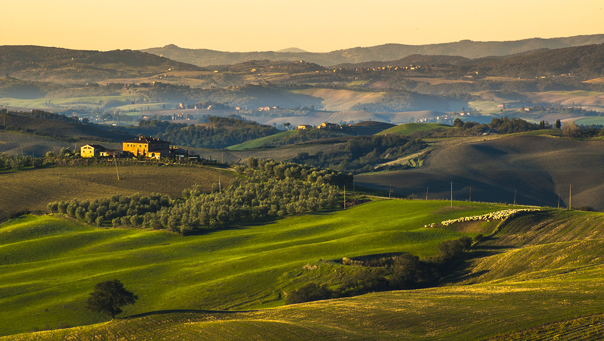 Nikon D70 sample photo. Tuscany photography