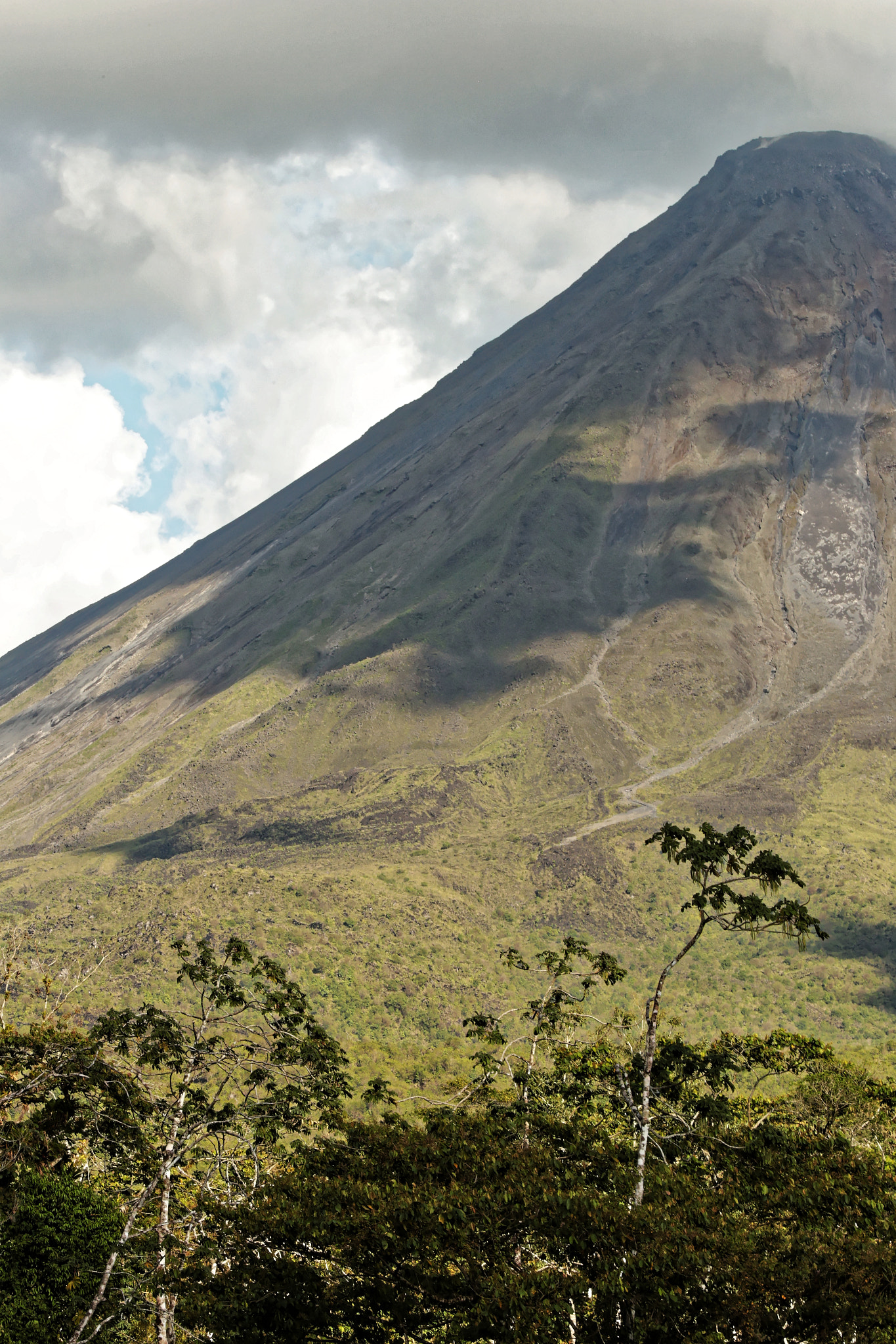 Tamron SP 150-600mm F5-6.3 Di VC USD sample photo. Arenal photography