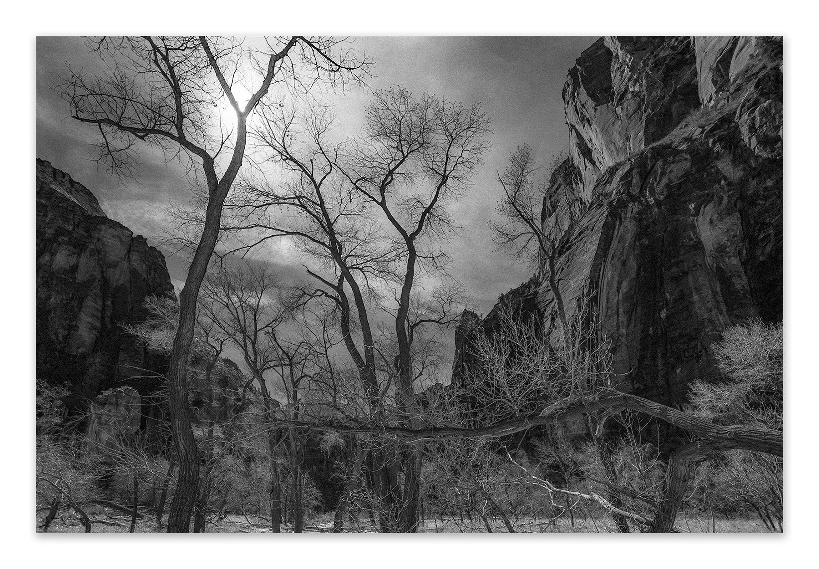 Nikon D700 sample photo. At zion national park, utah photography