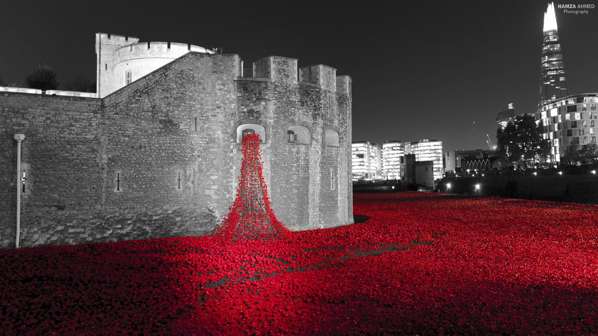 Nikon D5100 + Sigma 17-70mm F2.8-4 DC Macro OS HSM | C sample photo. Poppies at the tower photography