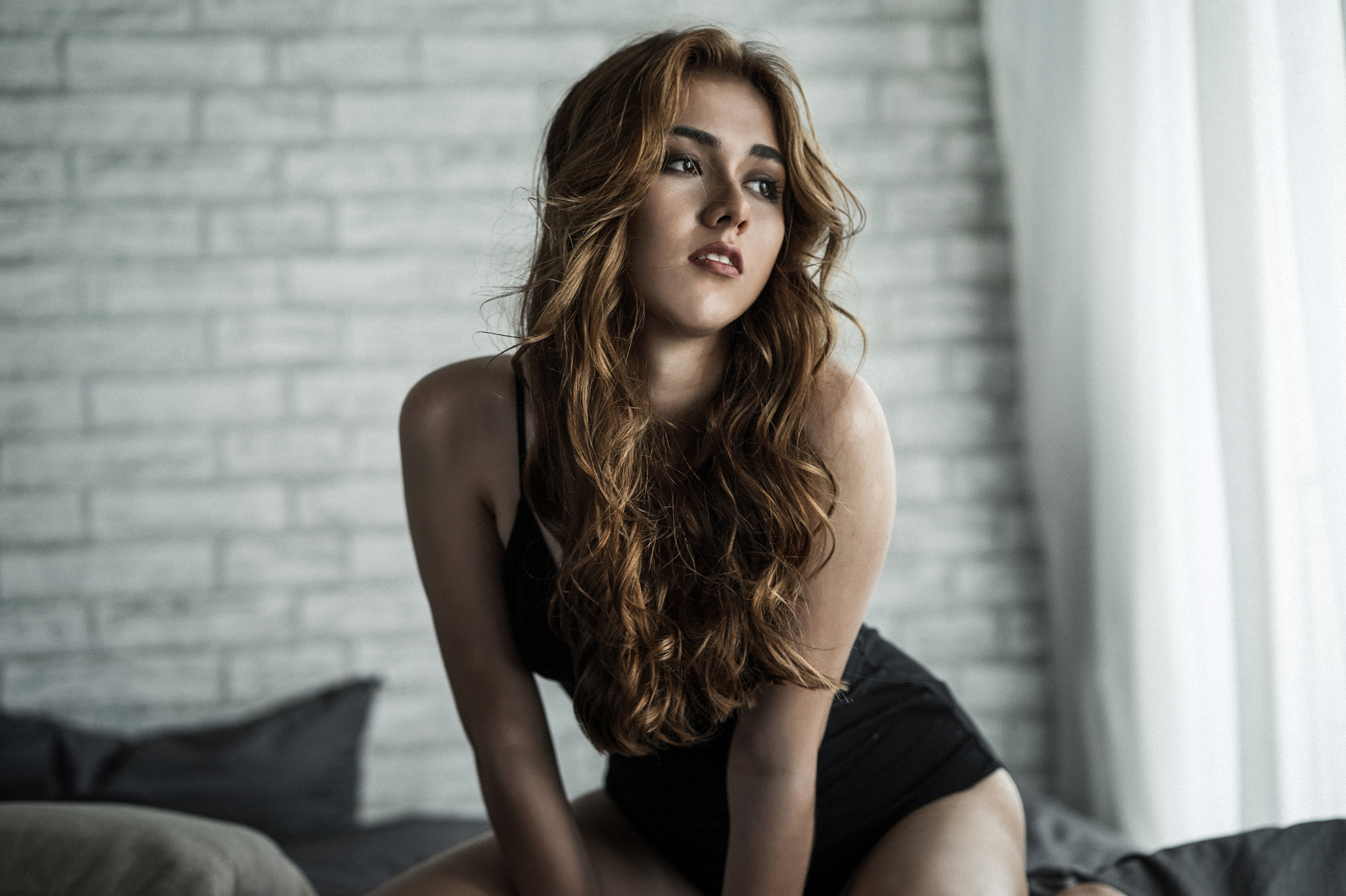 ZEISS Batis 85mm F1.8 sample photo. Dsc photography