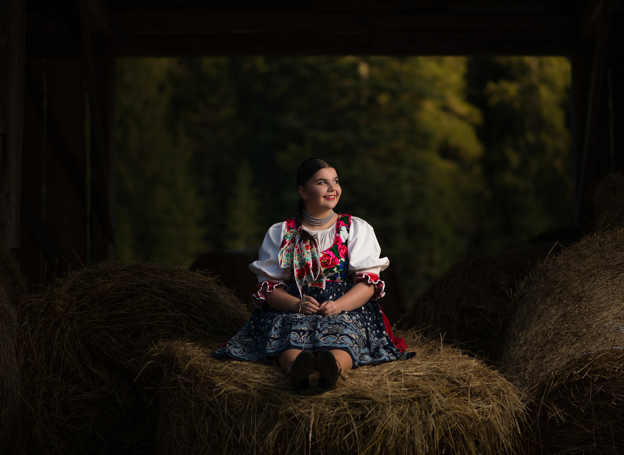 Nikon AF-S Nikkor 85mm F1.8G sample photo. Folklorist heart and soul photography