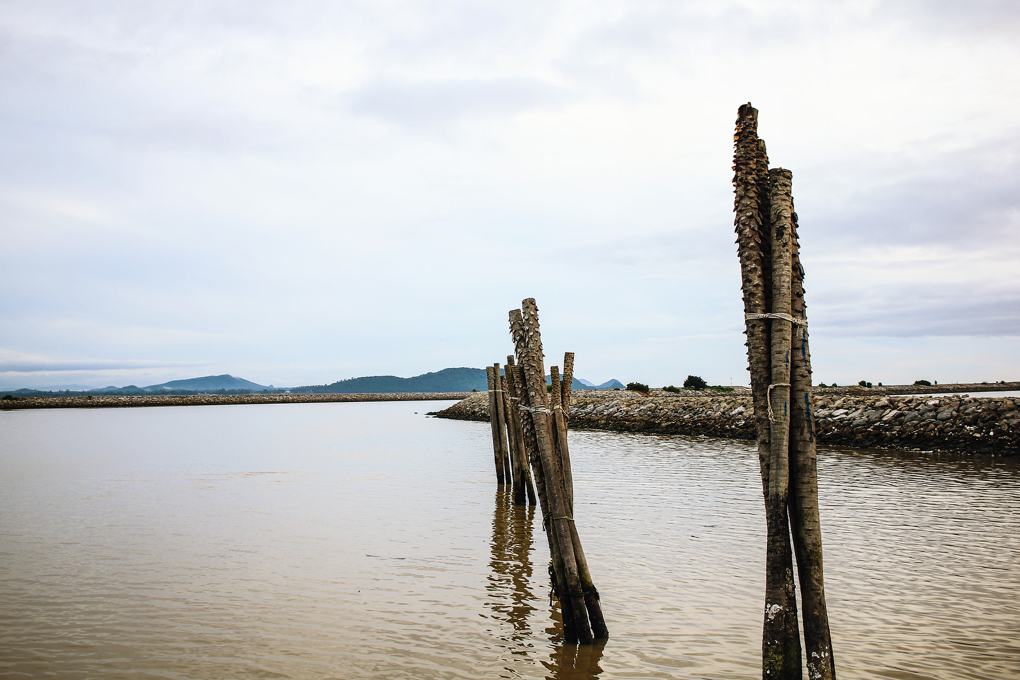 Canon EF-S 24mm F2.8 STM sample photo. Surathani, thailand photography