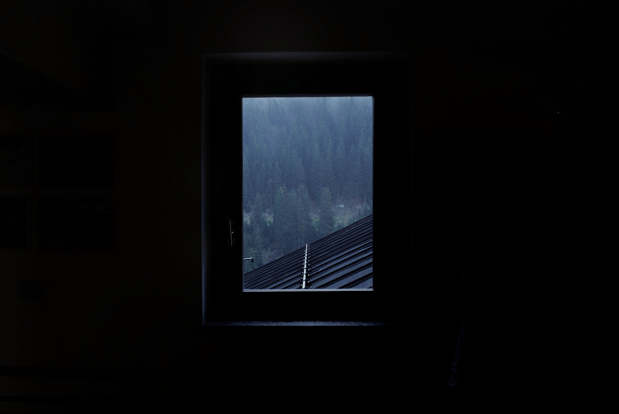 Nikon D80 sample photo. Rainy day photography