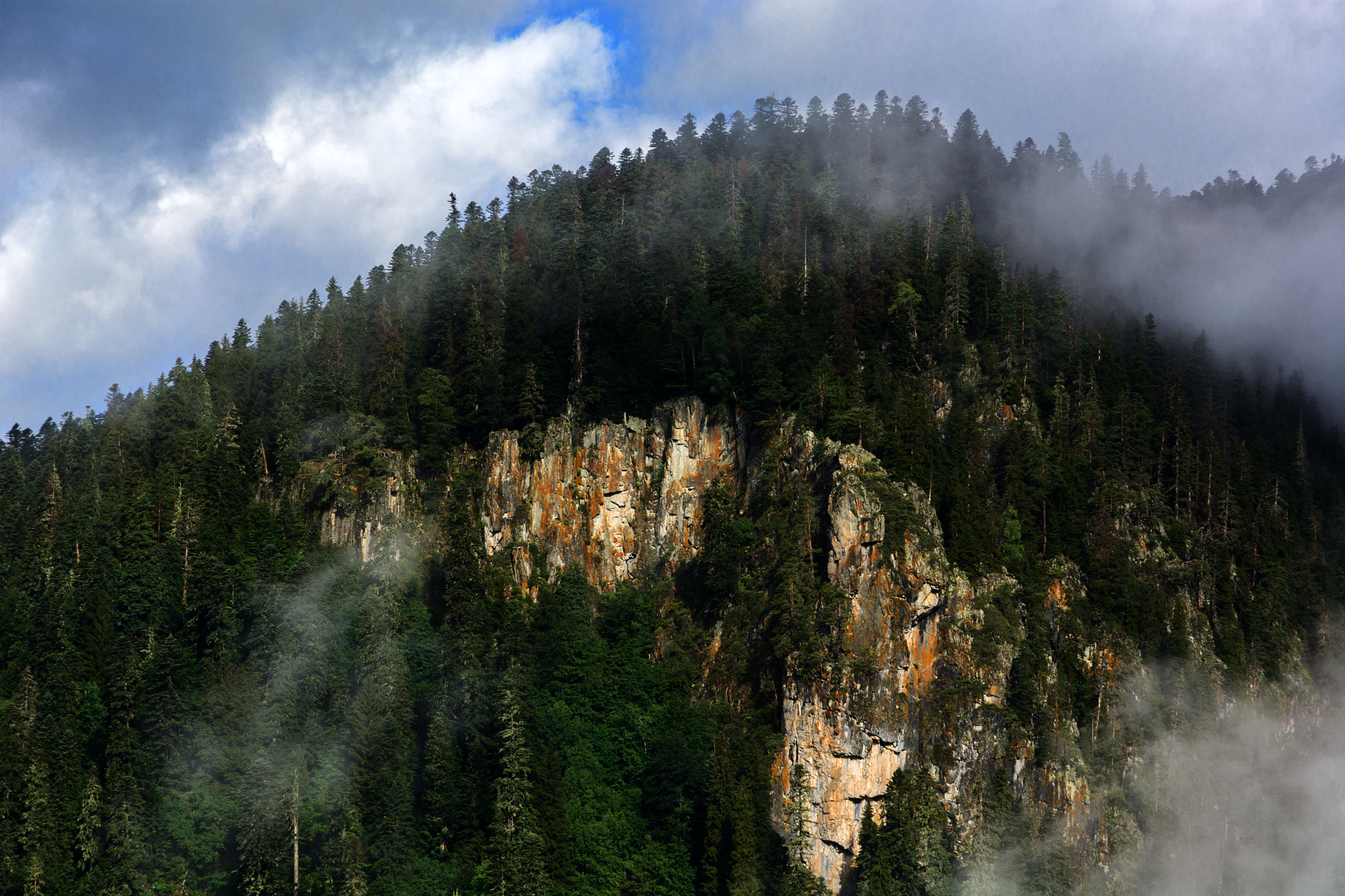 Nikon D7100 sample photo. Mountain forest photography