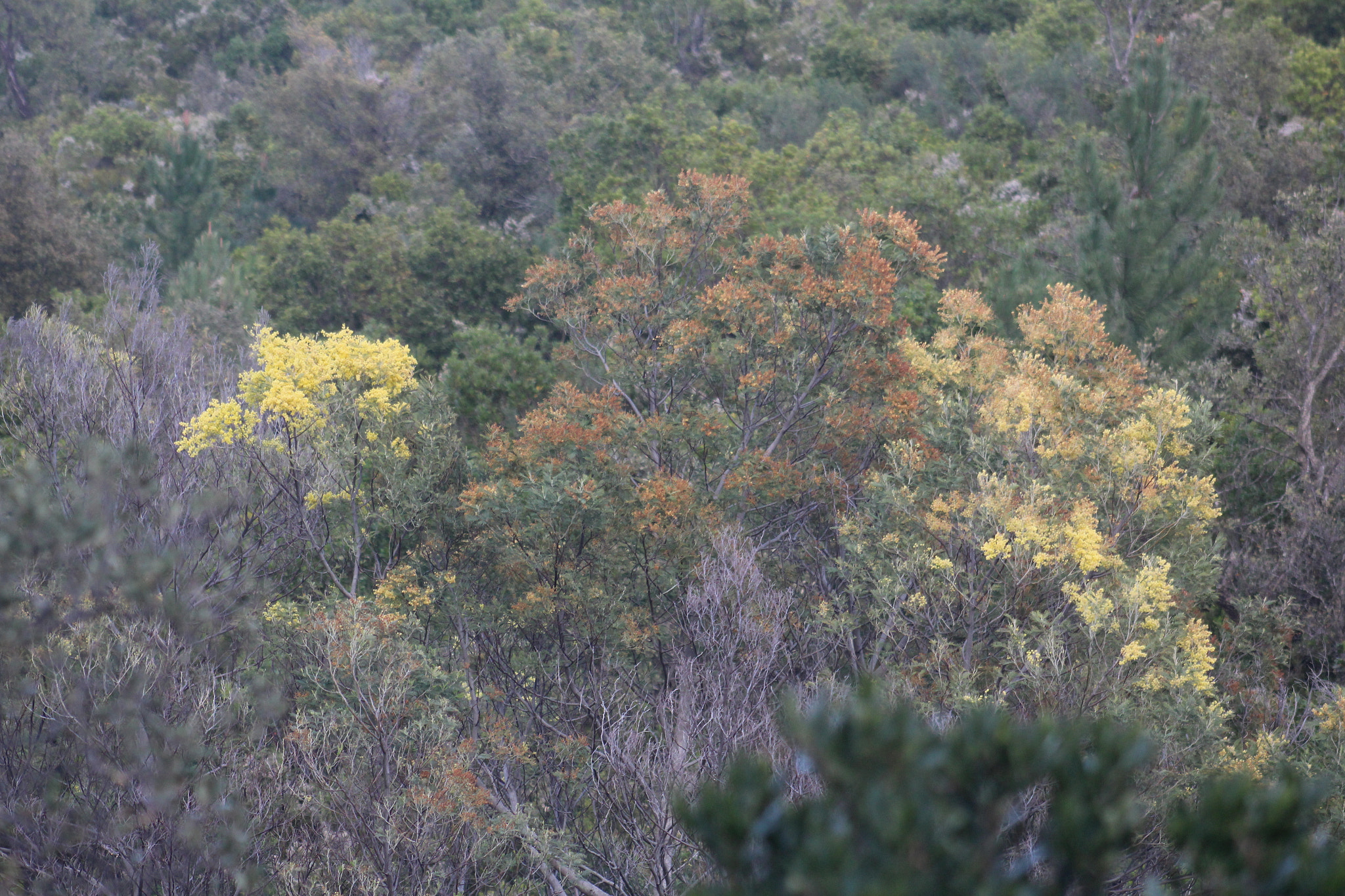 Canon EF 75-300mm f/4-5.6 USM sample photo. Img photography
