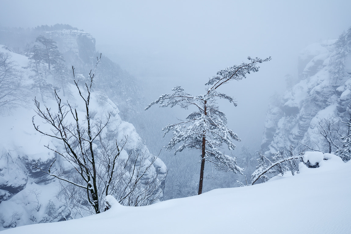 Canon EOS 5DS R + Canon EF 16-35mm F4L IS USM sample photo. Winter dreaming photography