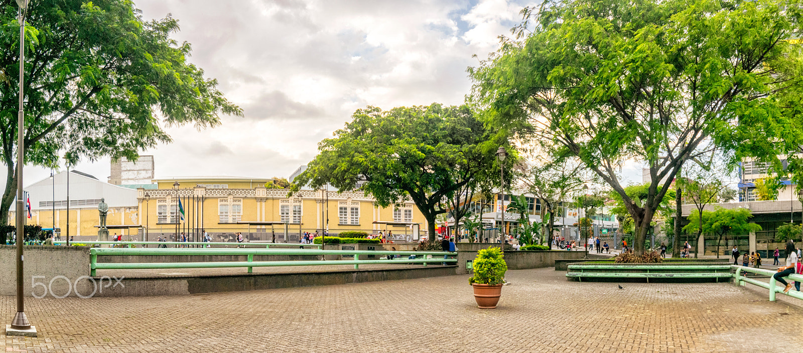 Samyang 14mm F2.8 ED AS IF UMC sample photo. Trees in the city - 3 photography