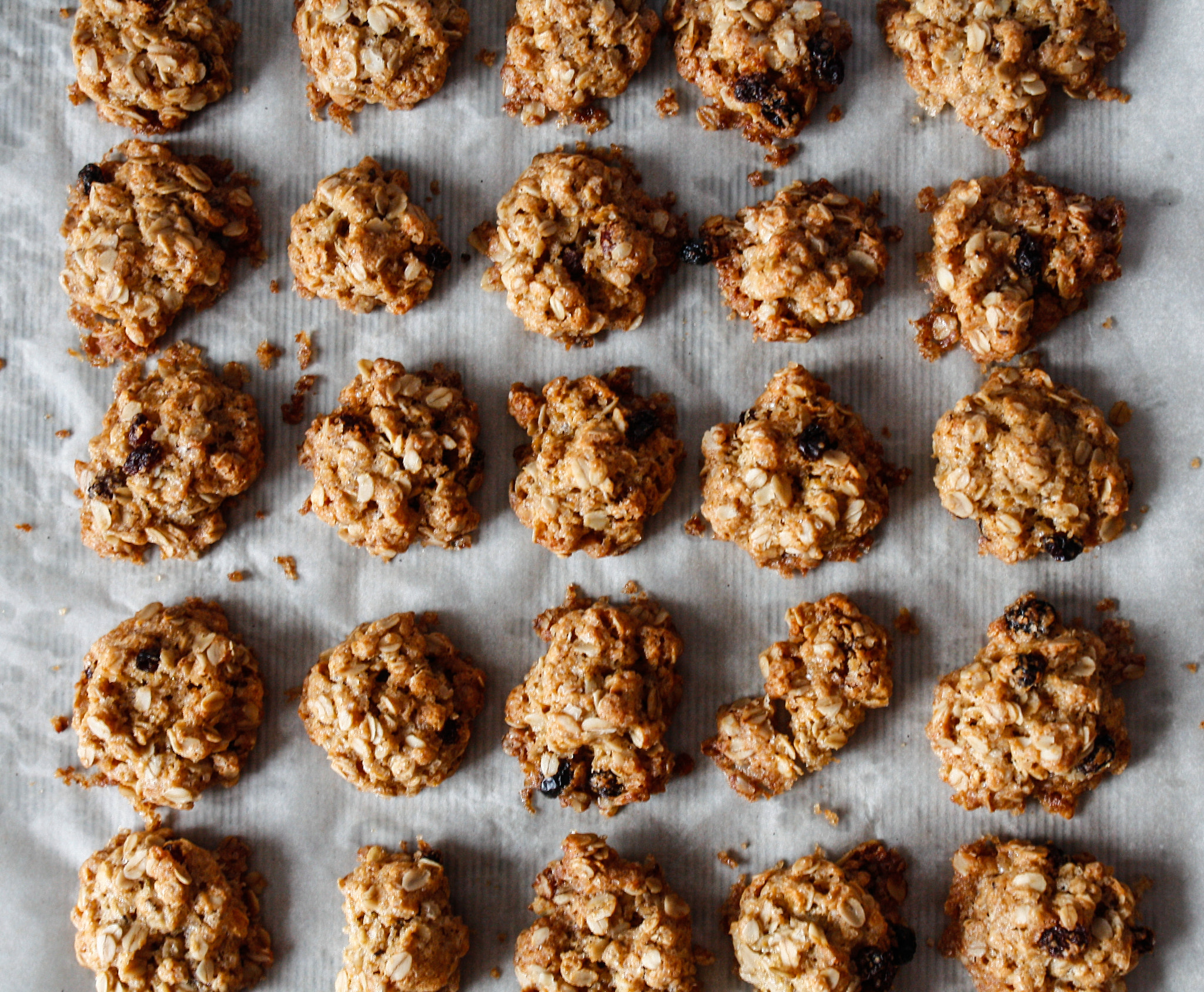 Canon EF-S 17-55mm F2.8 IS USM sample photo. Oatmeal cookies photography