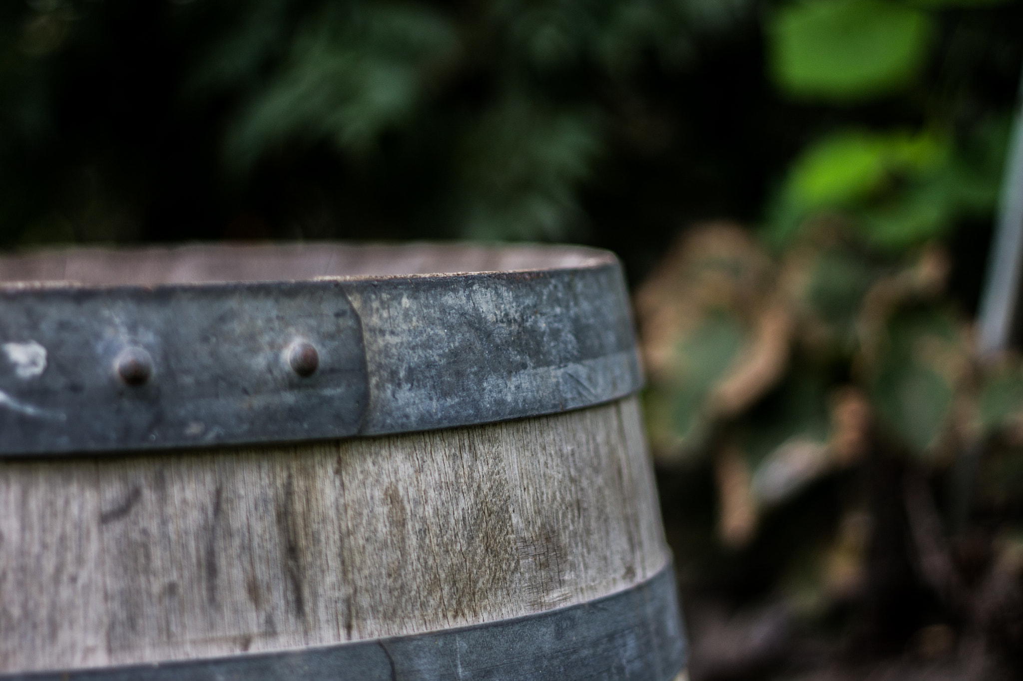 Canon EOS 1100D (EOS Rebel T3 / EOS Kiss X50) sample photo. Barrel photography