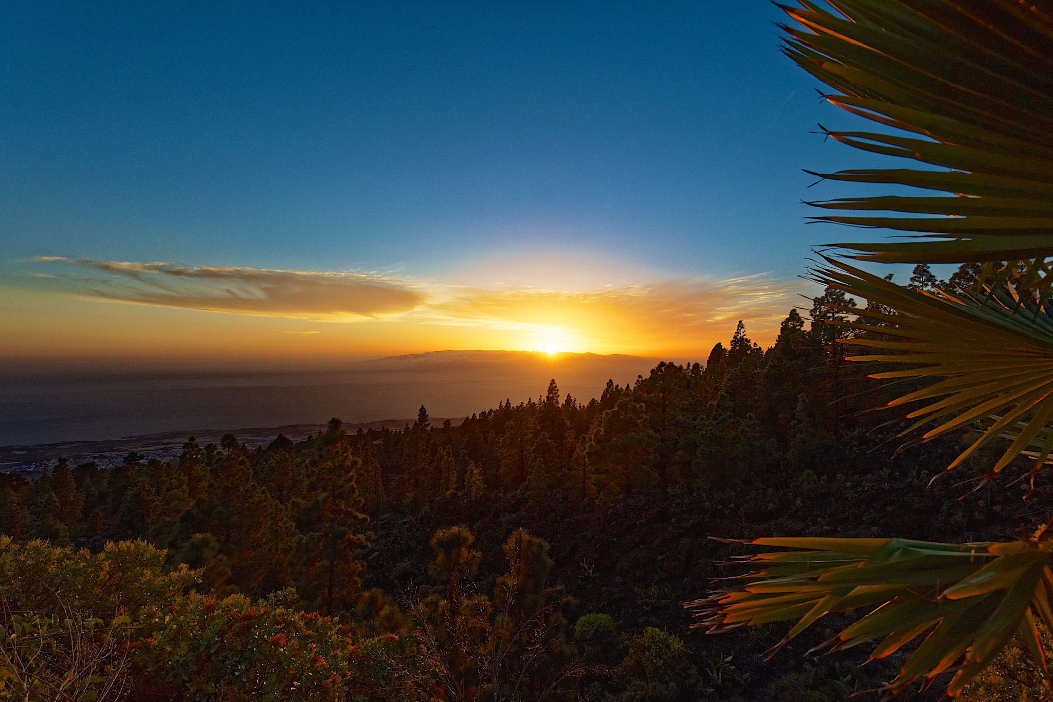 Canon EF 16-35mm F4L IS USM sample photo. Beauty of the fleeting moment photography