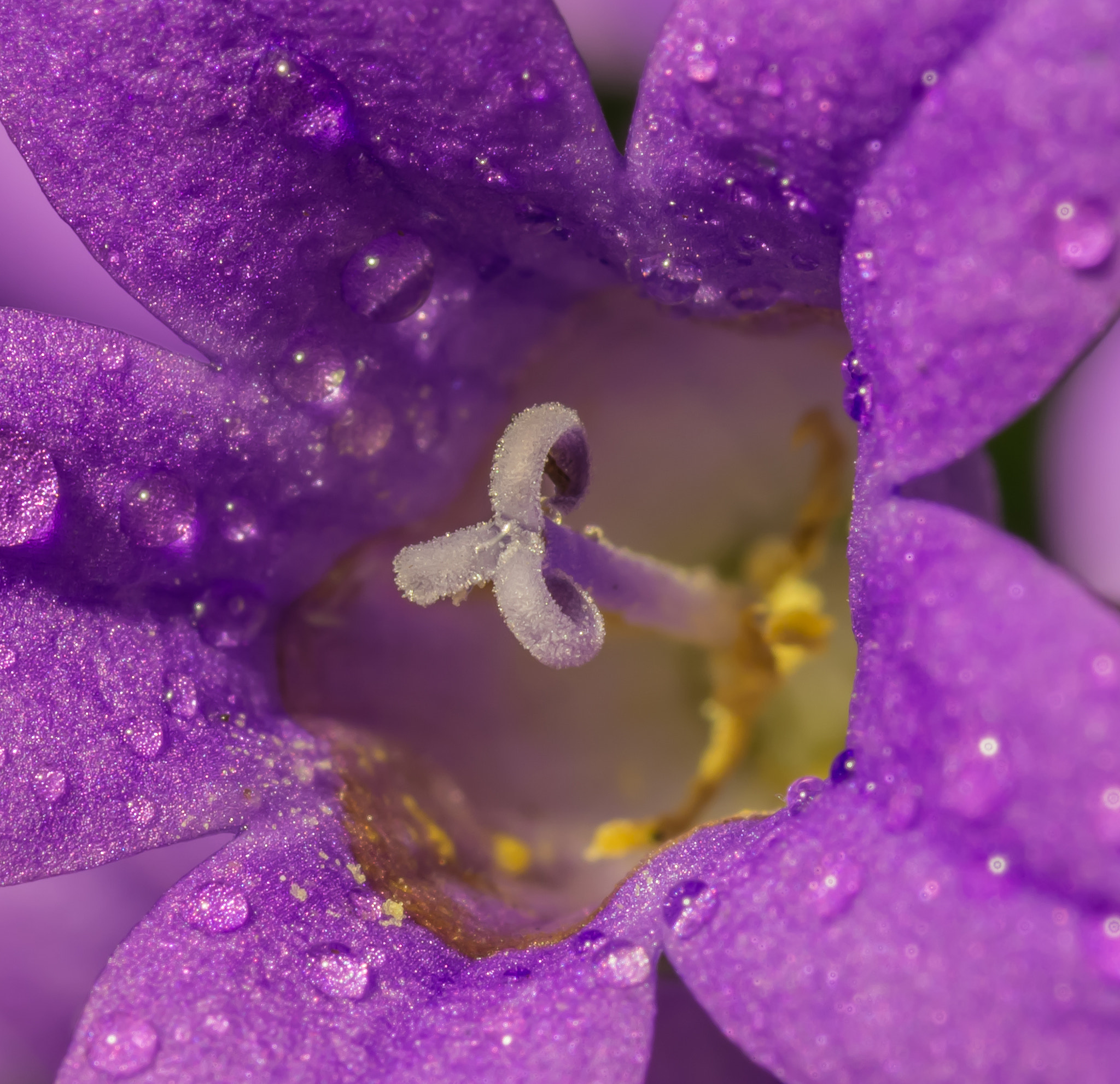 Nikon D7200 sample photo. Inside the color photography