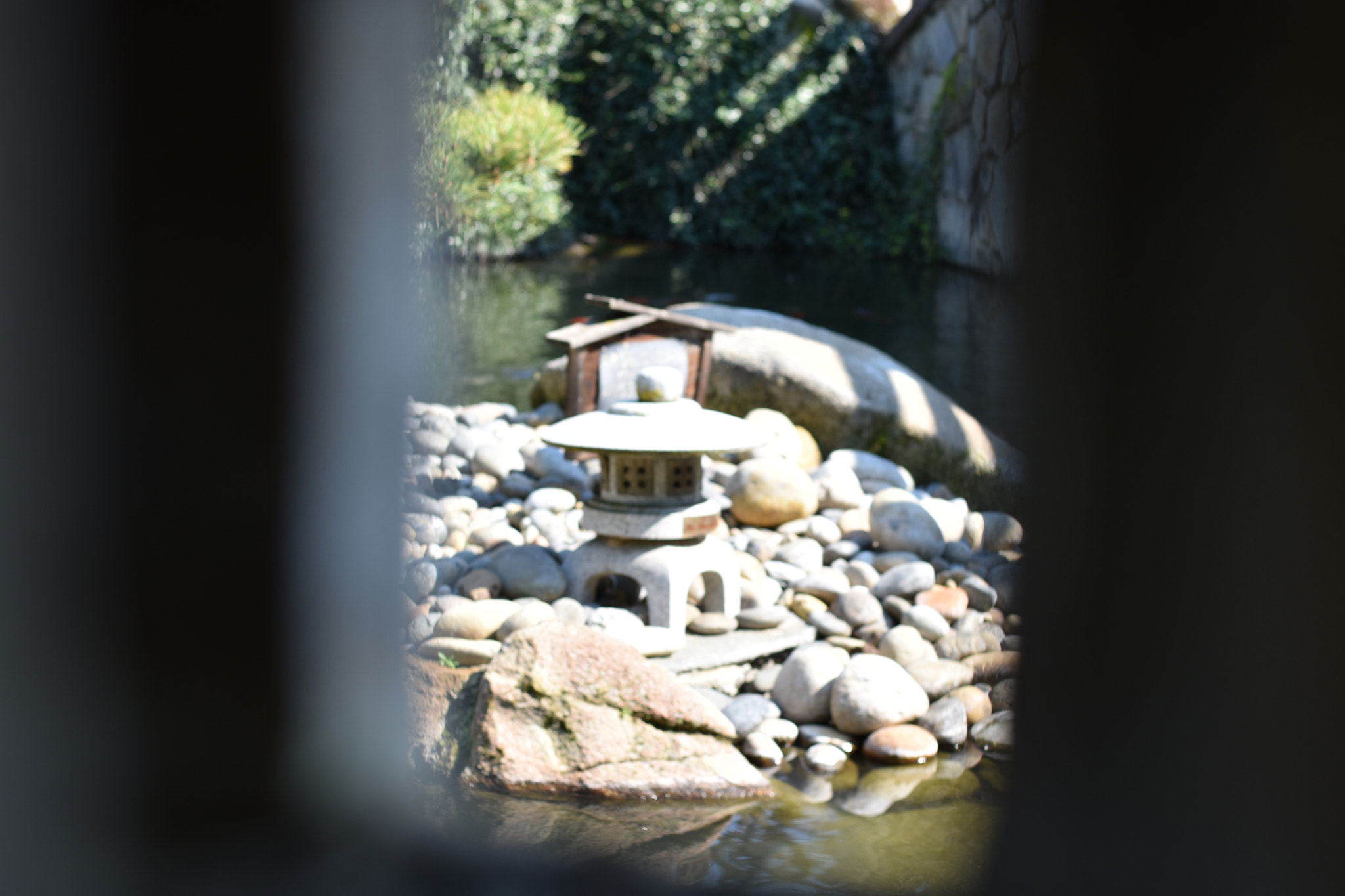 Nikon D5600 + Nikon AF-S Nikkor 50mm F1.8G sample photo. Dsc photography