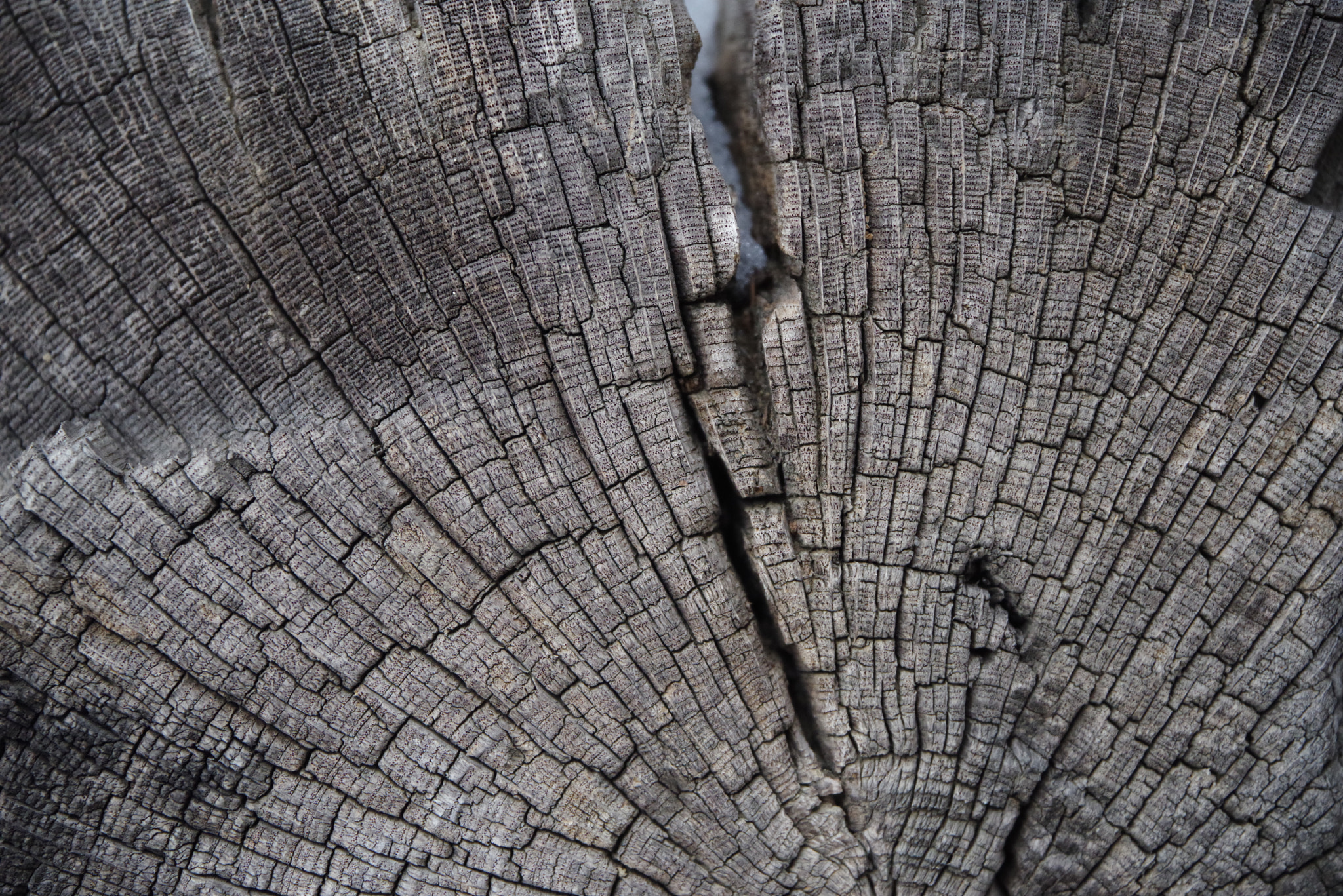 Pentax K-1 sample photo. Wrinkles on face of the time photography