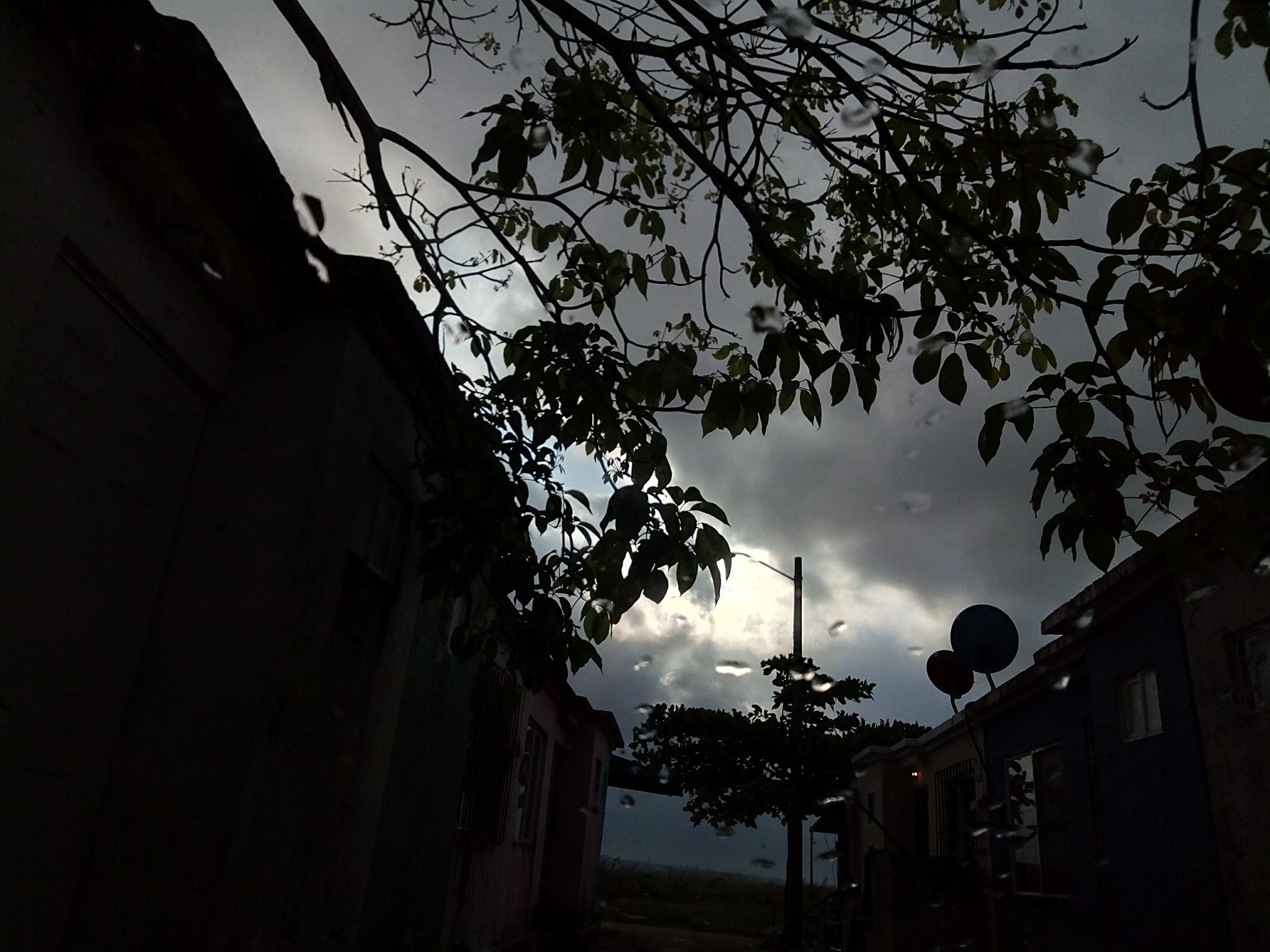 ZTE BLADE V6 sample photo. La tarde photography