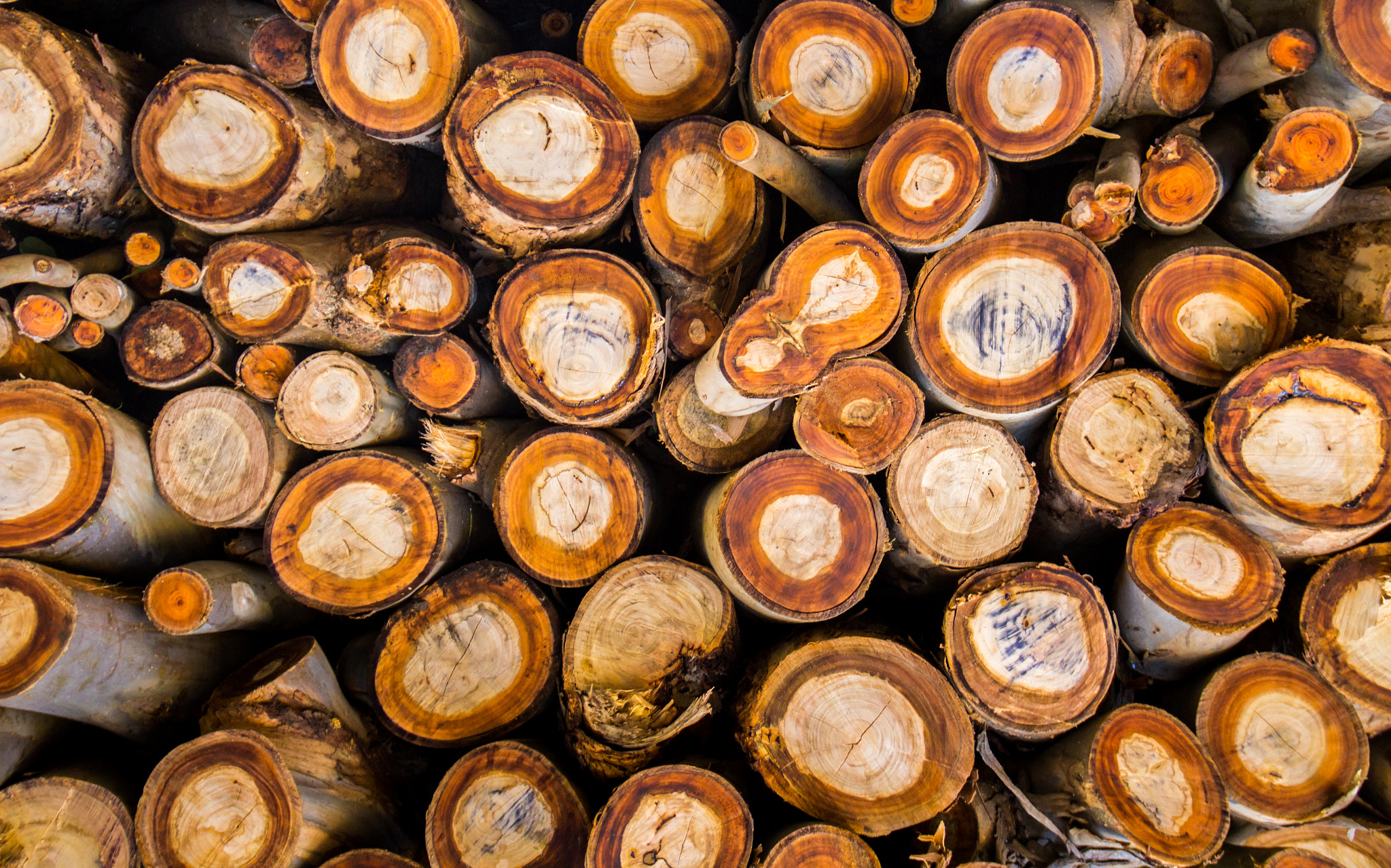 Canon EOS 60D sample photo. Wooden pattern photography