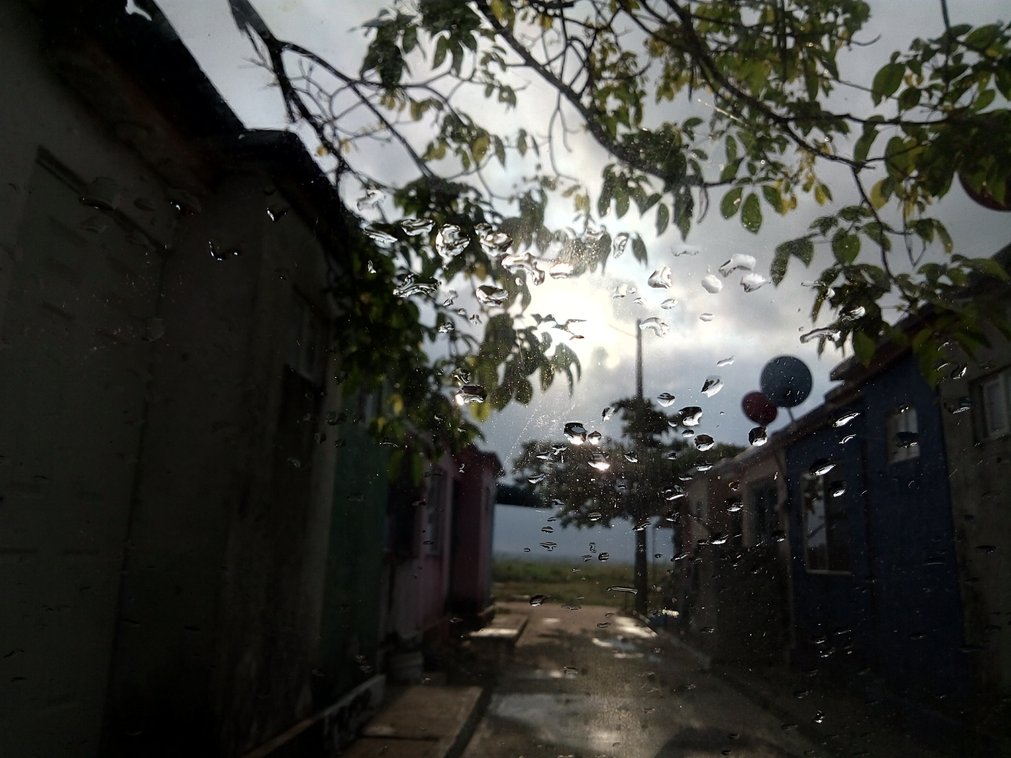 ZTE BLADE V6 sample photo. La tarde photography