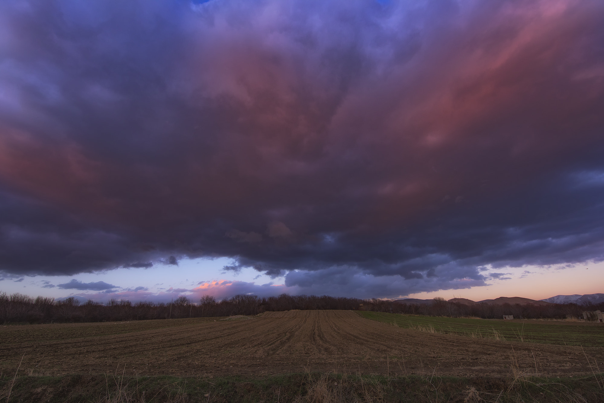 Tamron SP 15-30mm F2.8 Di VC USD sample photo. Sunset dream photography