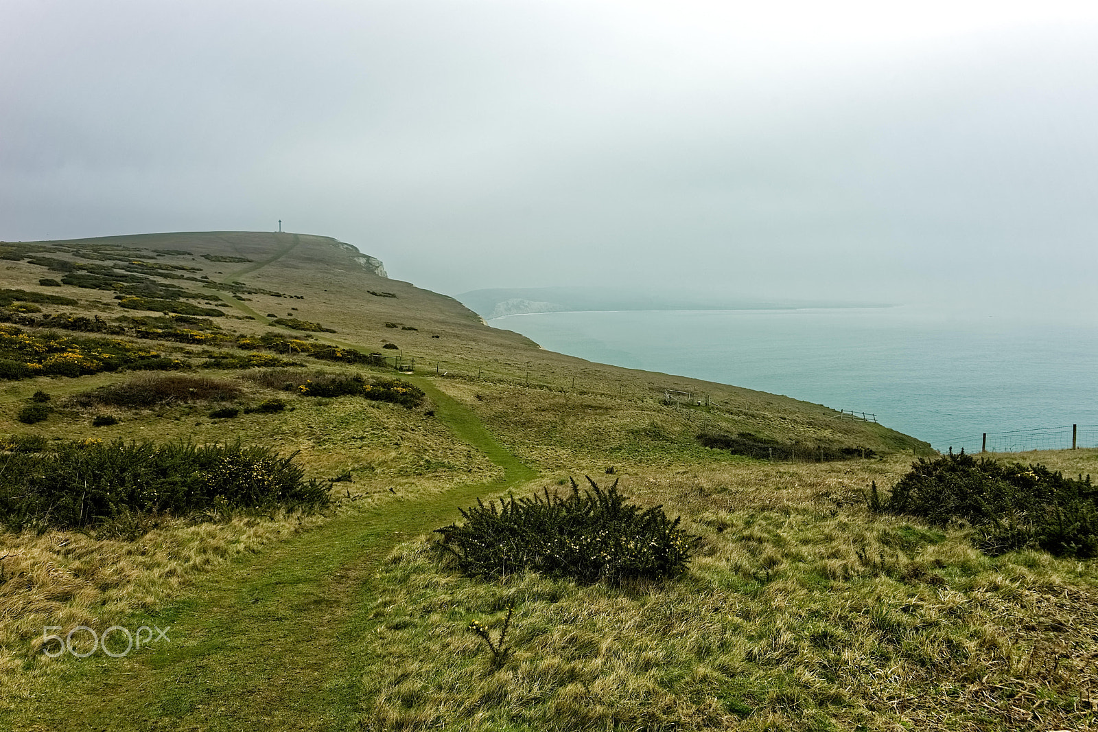 Sony a99 II + Tamron SP 24-70mm F2.8 Di VC USD sample photo. On the tennyson downs. photography