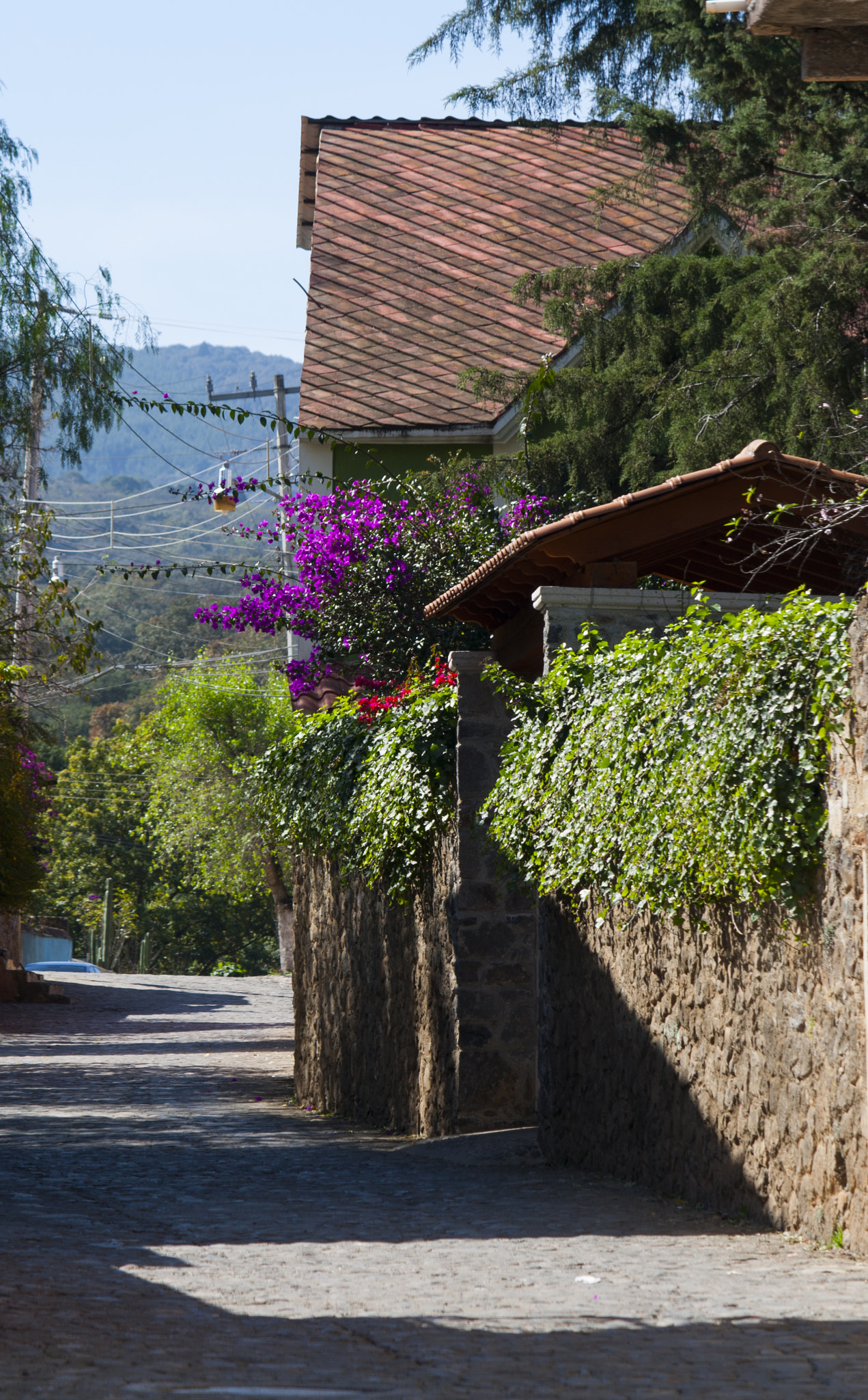 Canon EF-S 55-250mm F4-5.6 IS sample photo. Callejón de piedra y color photography