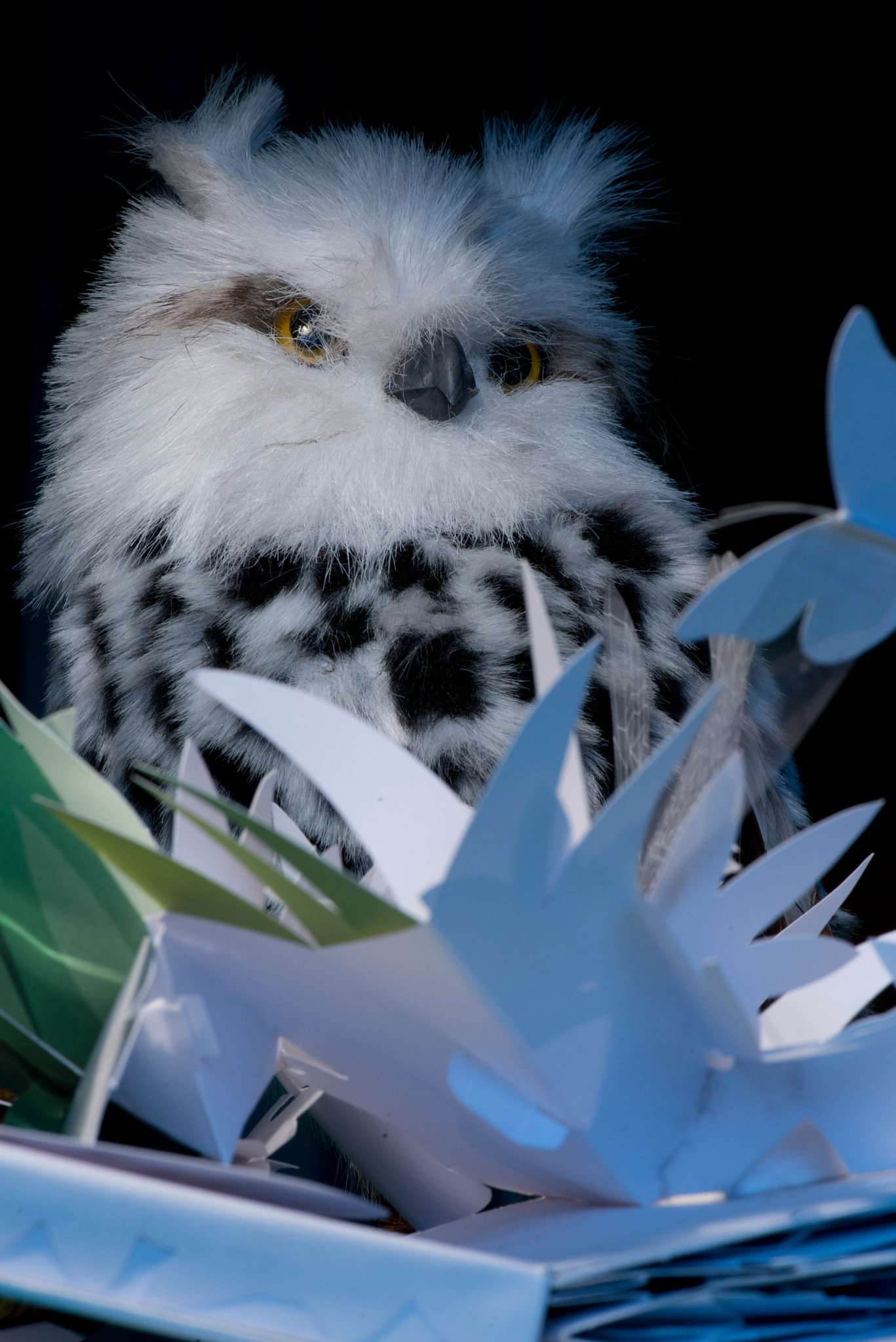 Nikon AF-S Micro-Nikkor 105mm F2.8G IF-ED VR sample photo. Oltre la jungla photography