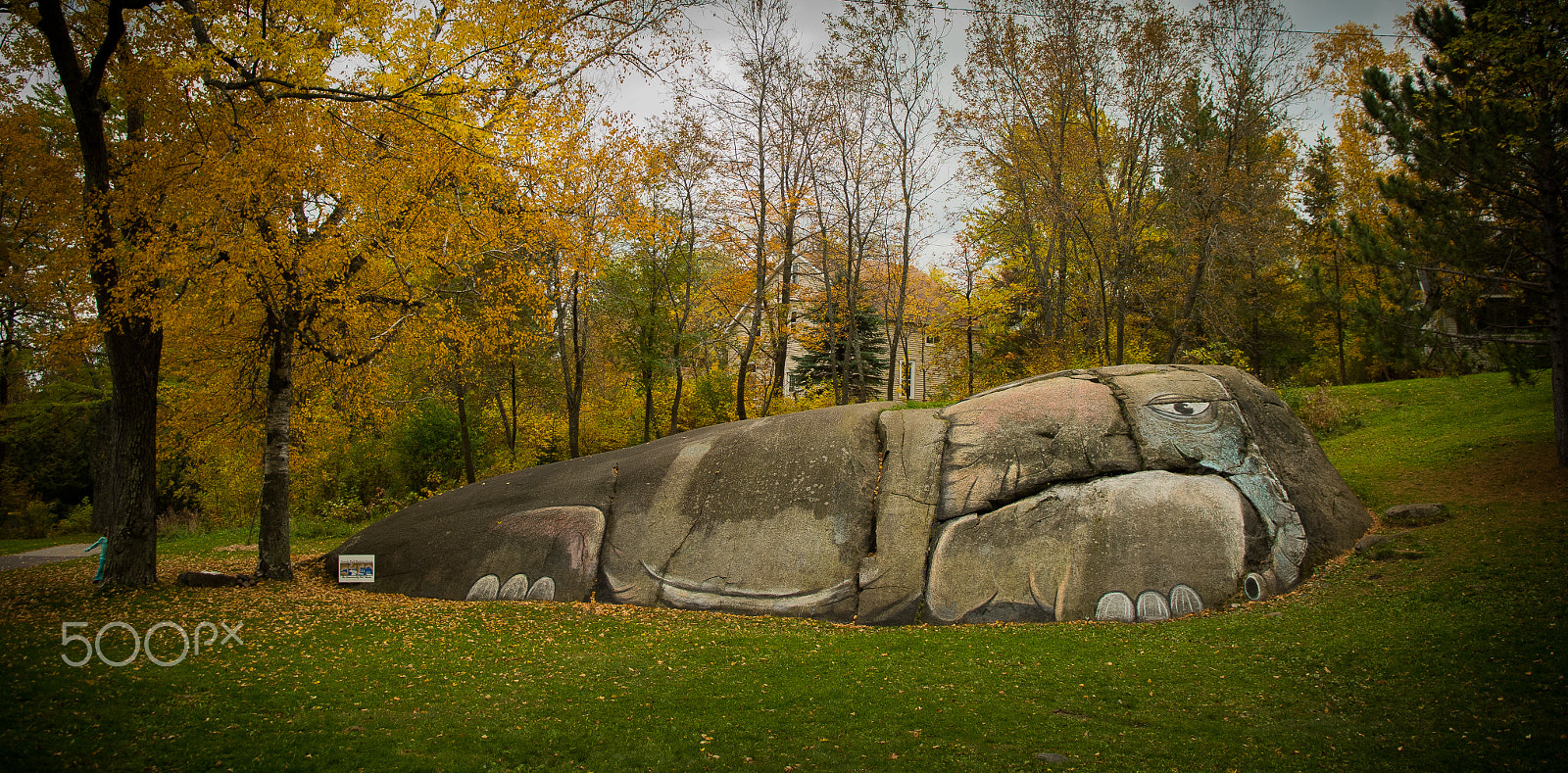 Nikon D500 sample photo. Elephant rock #1 photography
