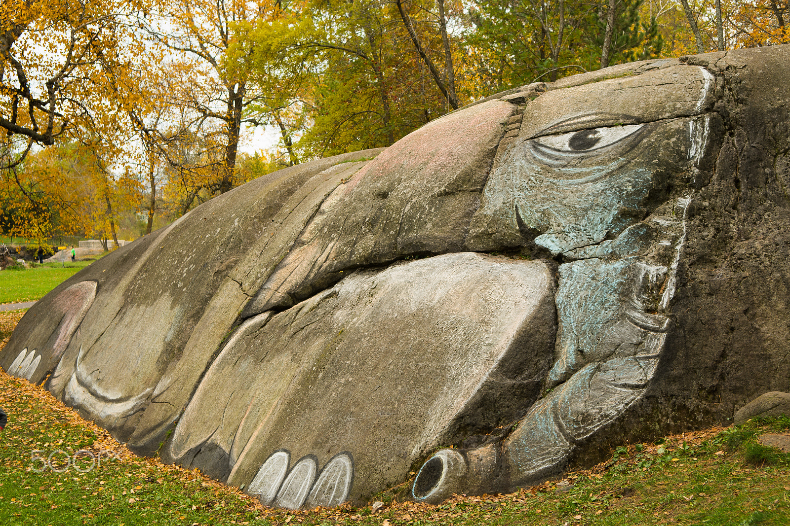 Nikon D500 sample photo. Elephant rock #1 photography