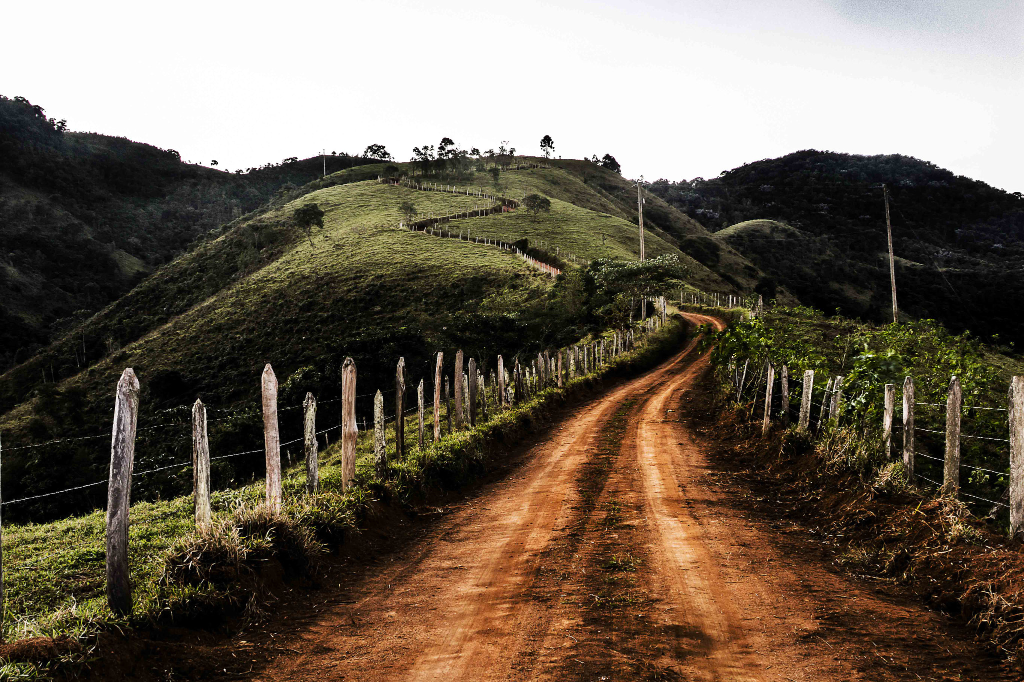 Canon EF 28-135mm F3.5-5.6 IS USM sample photo. A estrada da serra photography