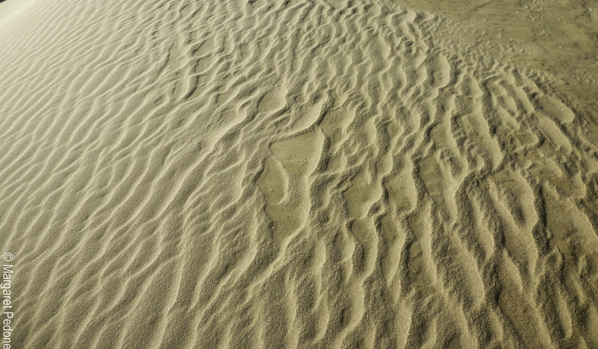 Olympus SZ-12 sample photo. Sand dune pattern 1.1 photography