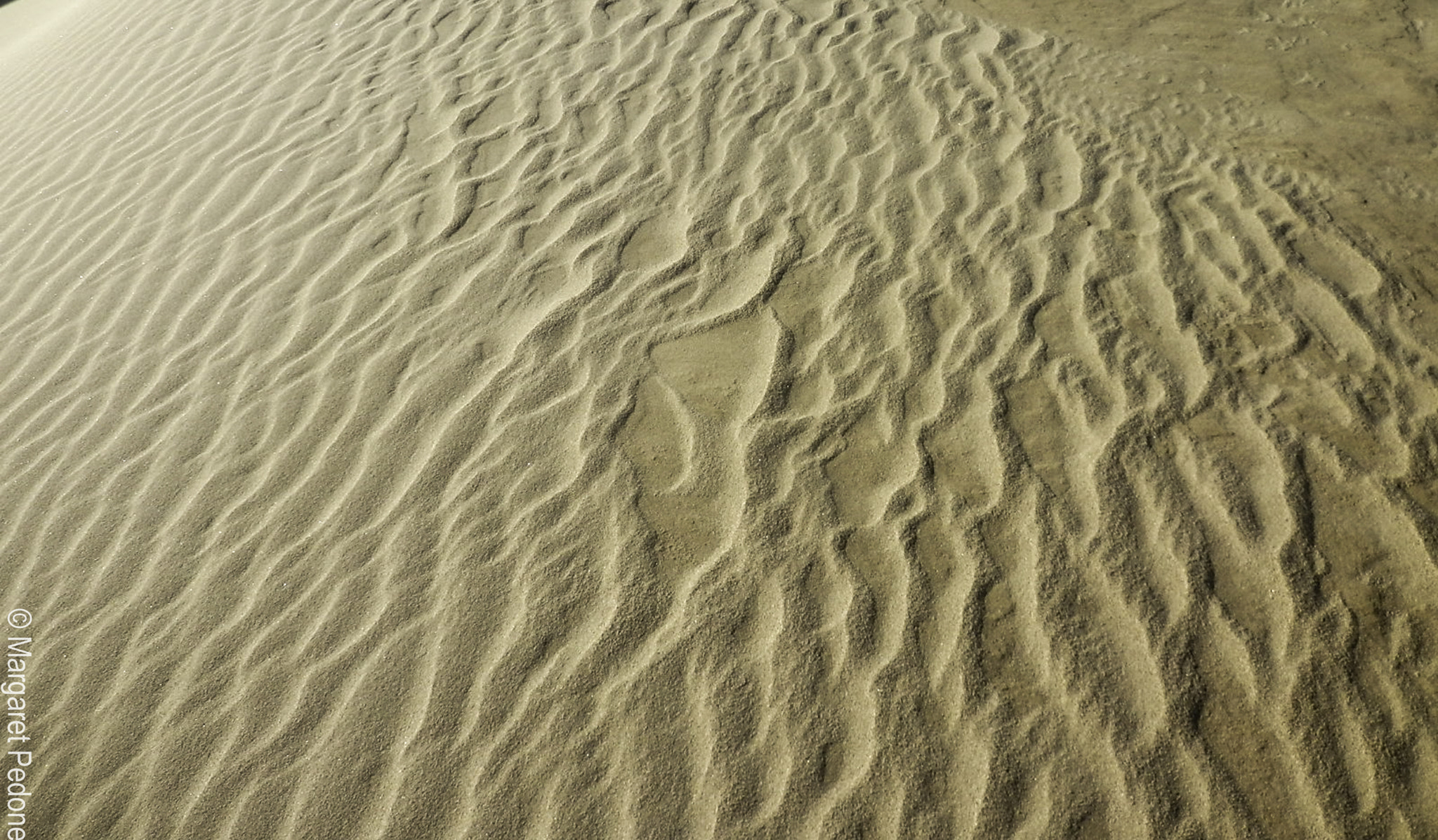 Olympus SZ-12 sample photo. Sand dune pattern 1.1 photography