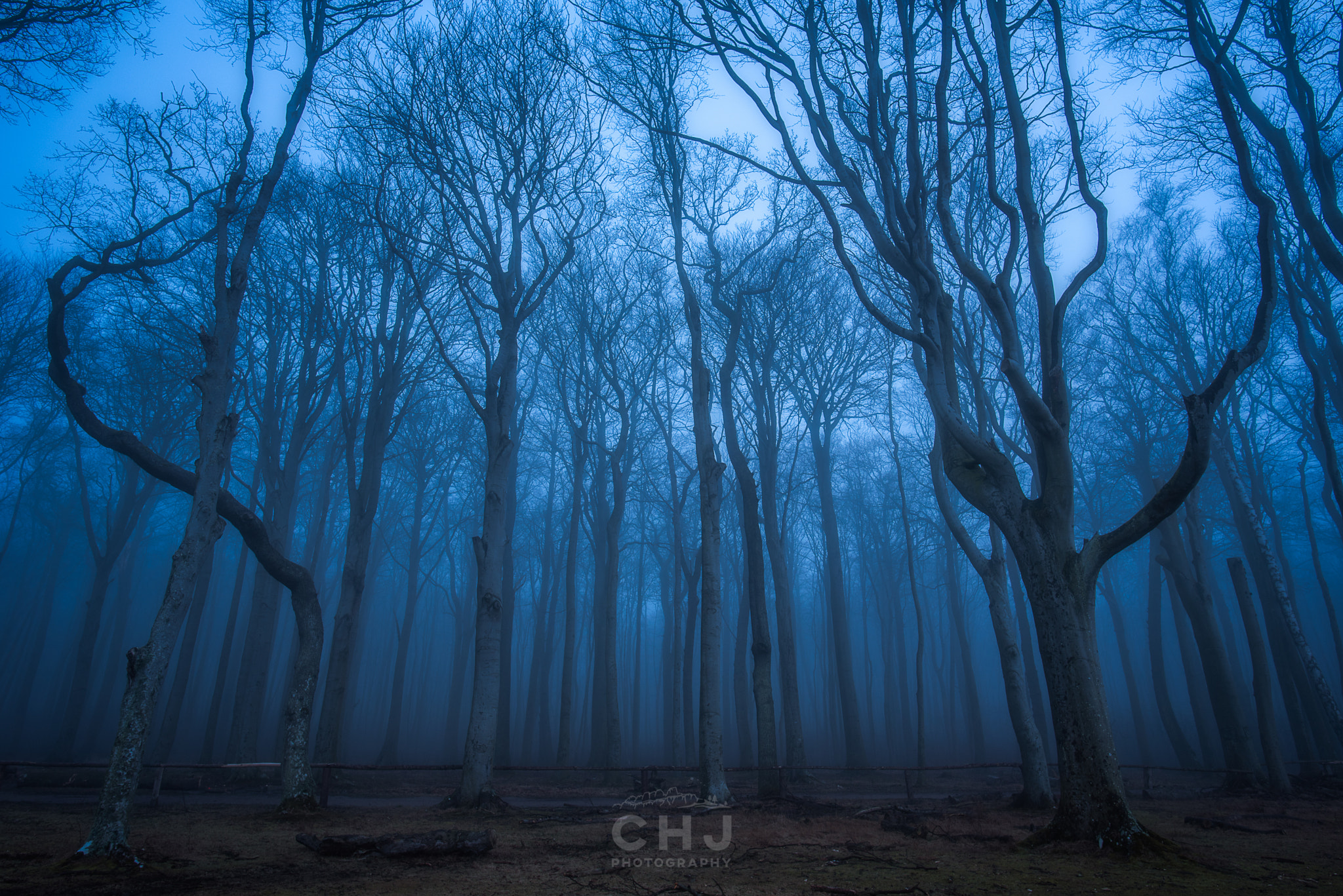Nikon D750 + Nikon AF-S Nikkor 20mm F1.8G ED sample photo. Gespensterwald photography